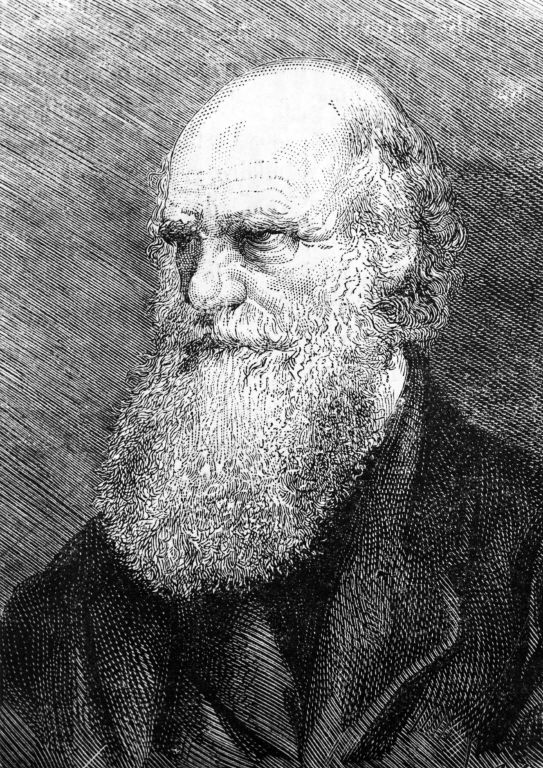 charles darwin científico