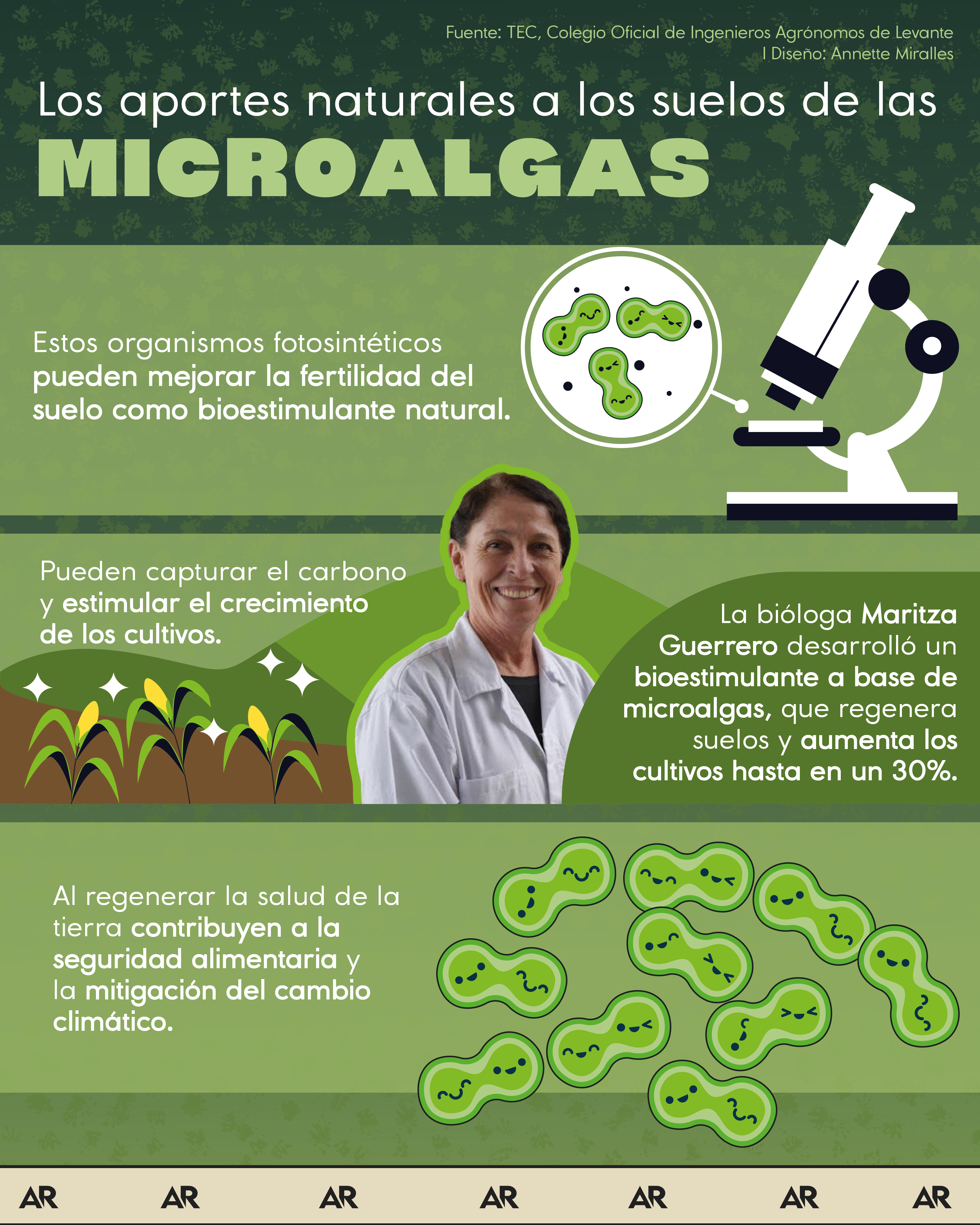 Los aportes naturales a los suelos de las microalgas