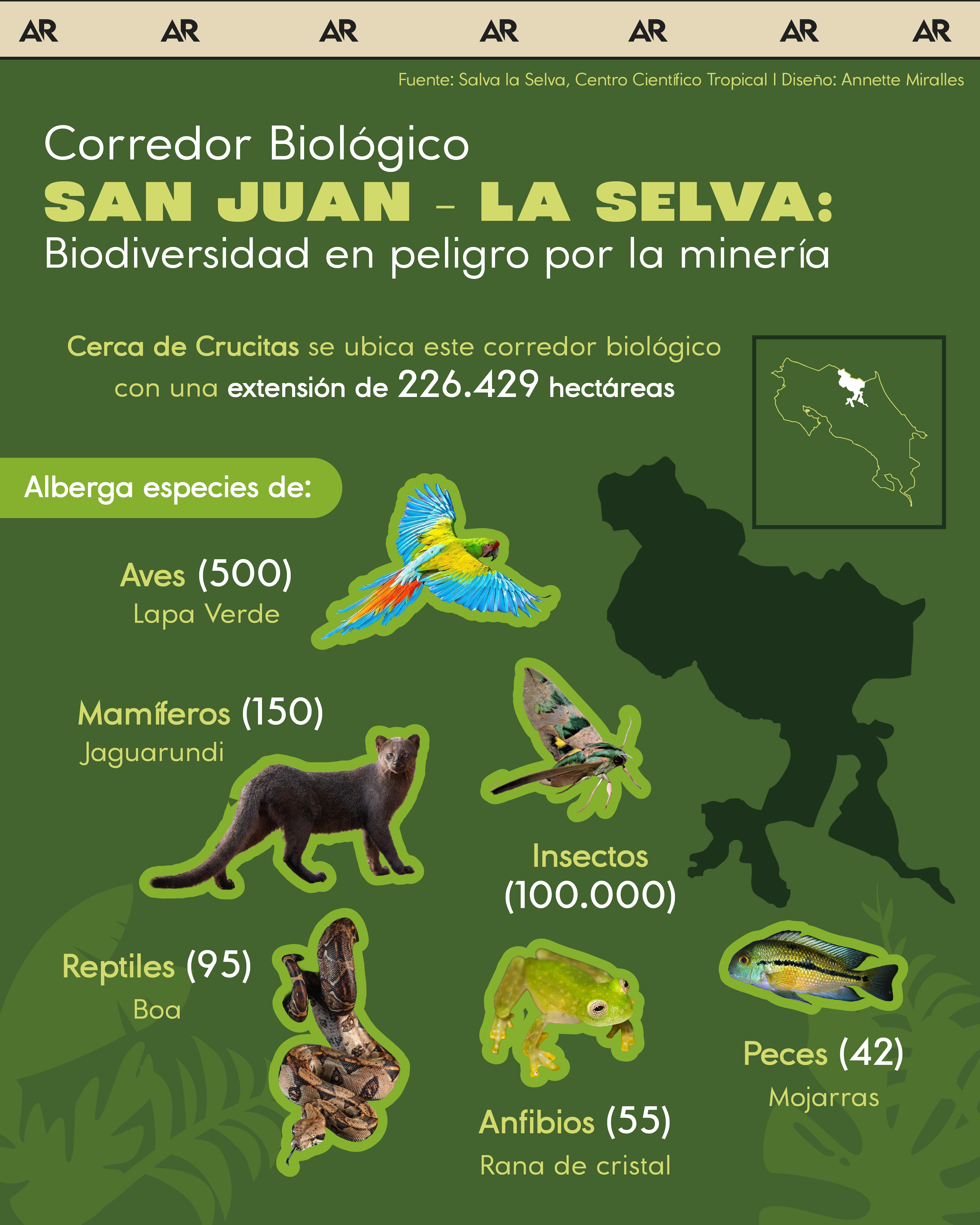 Corredor Biológico San Juan - La Selva: Biodiversidad en peligro por la minería