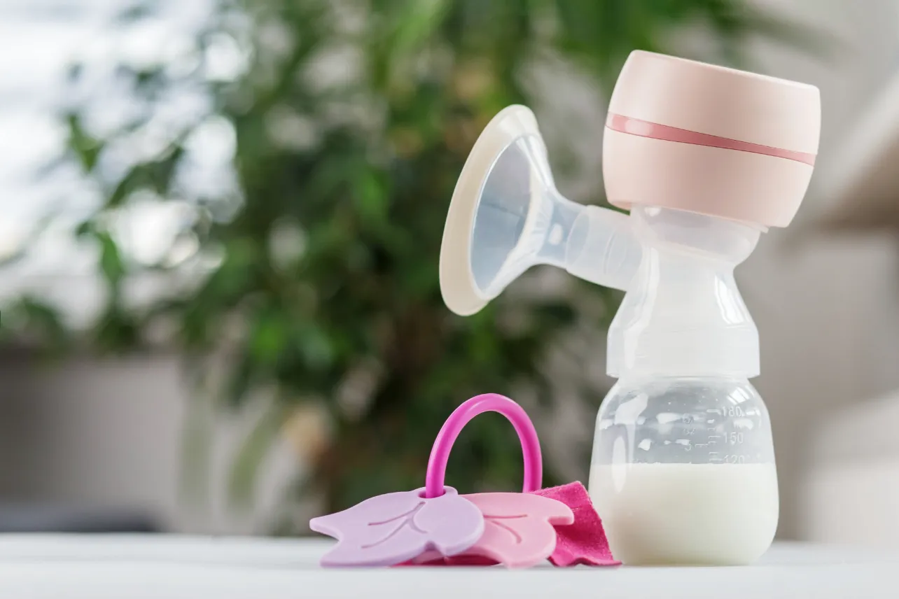 proyecto, mujeres, lactancia, empleo, Cámara de Comercio, noticias, Costa Rica