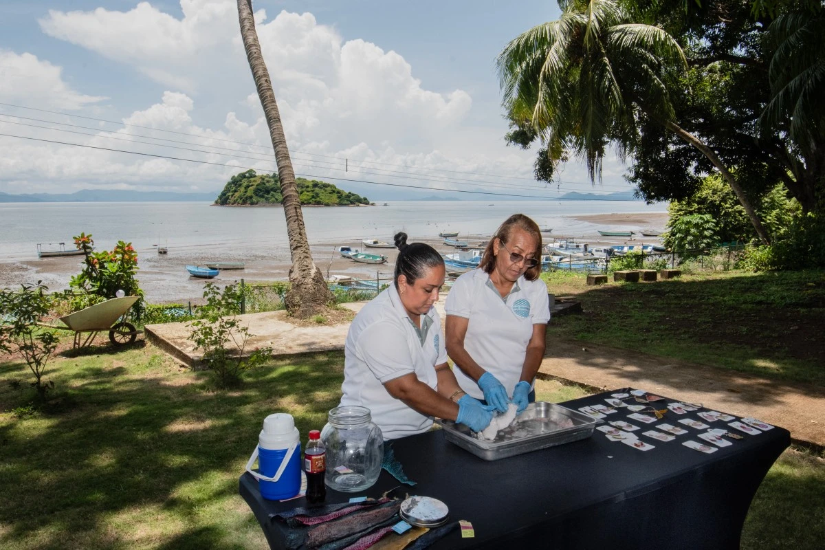 Mujeres de la cooperativa Piel Marina manipulan piel de pescado para hacer aretes en Costa de Pájaros, Puntarenas.