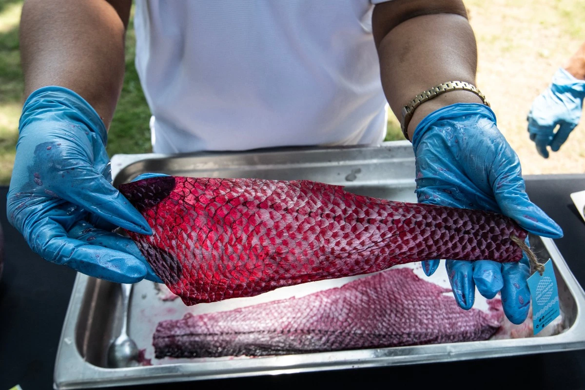 Una de las mujeres de la cooperativa Piel Marina muestra una piel de pescado.
