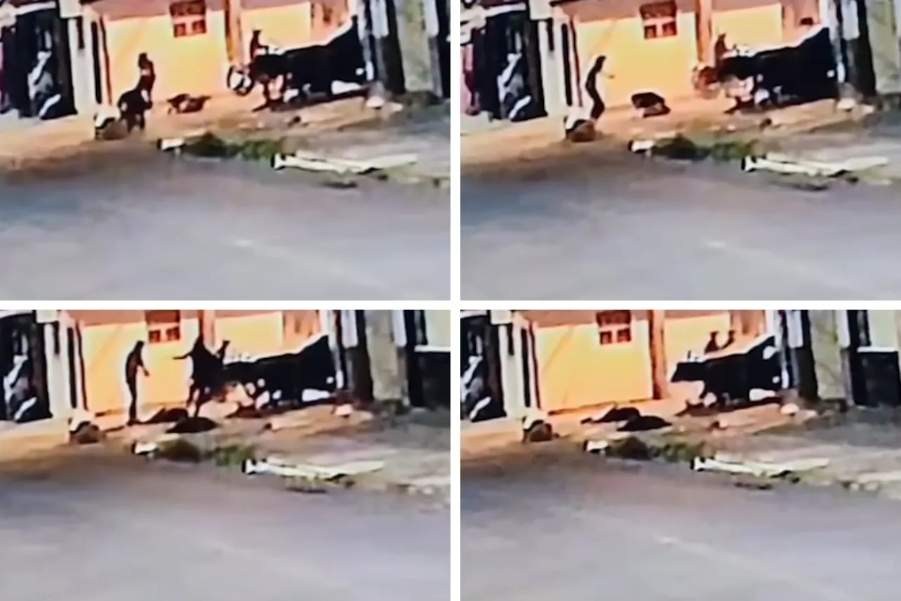 San Sebastián, homicidios, OIJ, noticias, Costa Rica