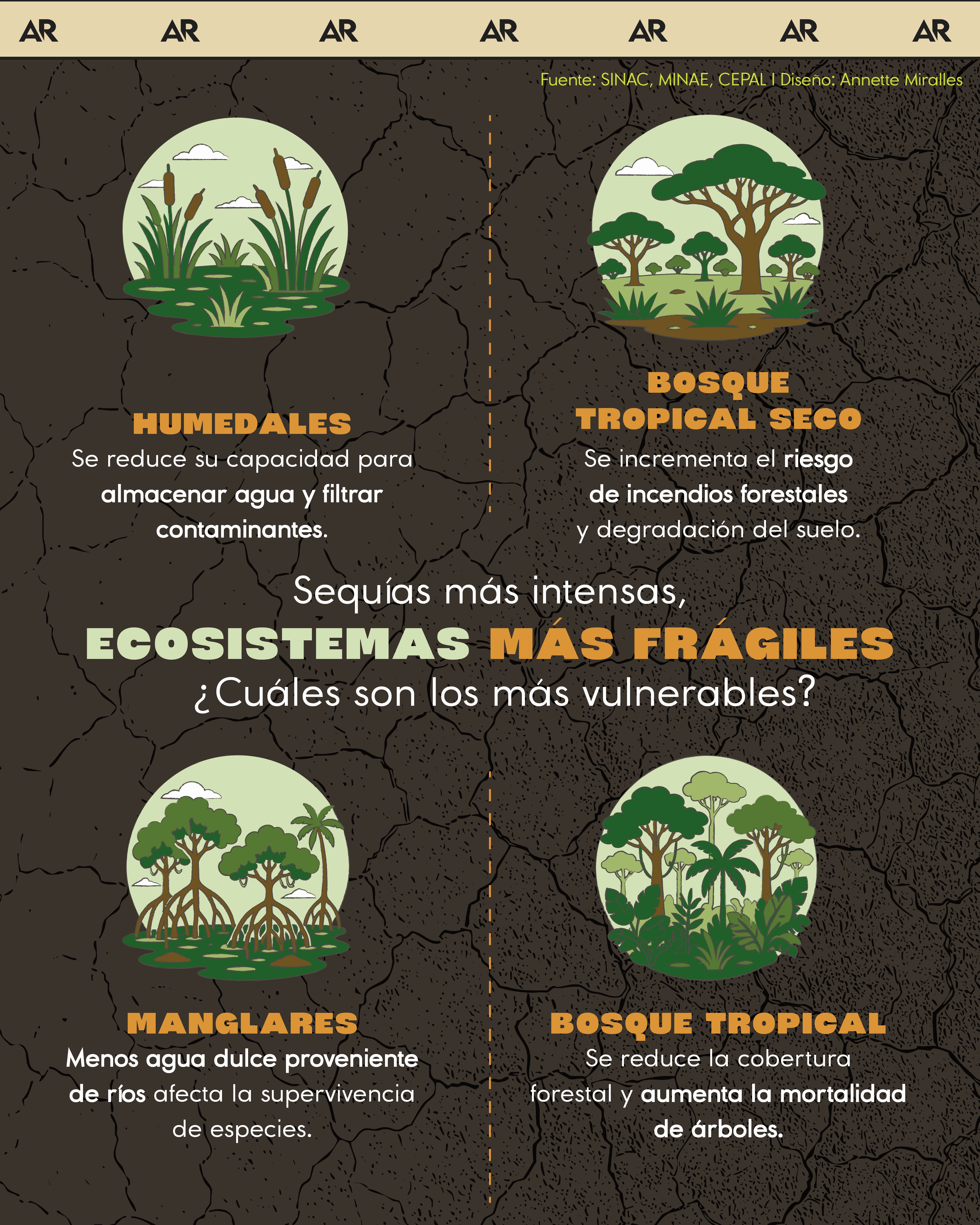 Sequías más intensas, ecosistemas más frágiles ¿Cuáles son los más vulnerables?