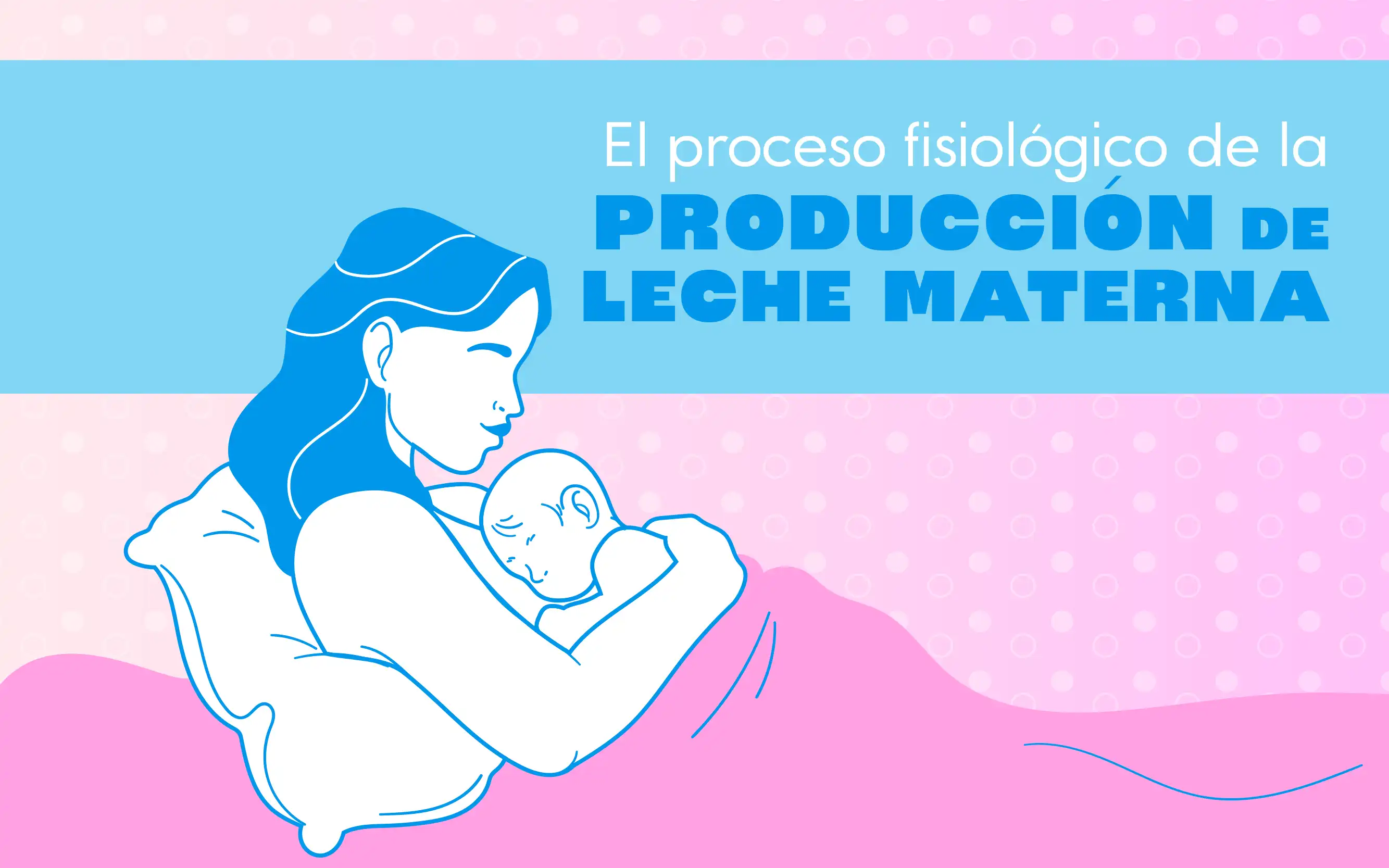 lactancia, maternidad, hormonas, cerebro, noticias, costa rica 