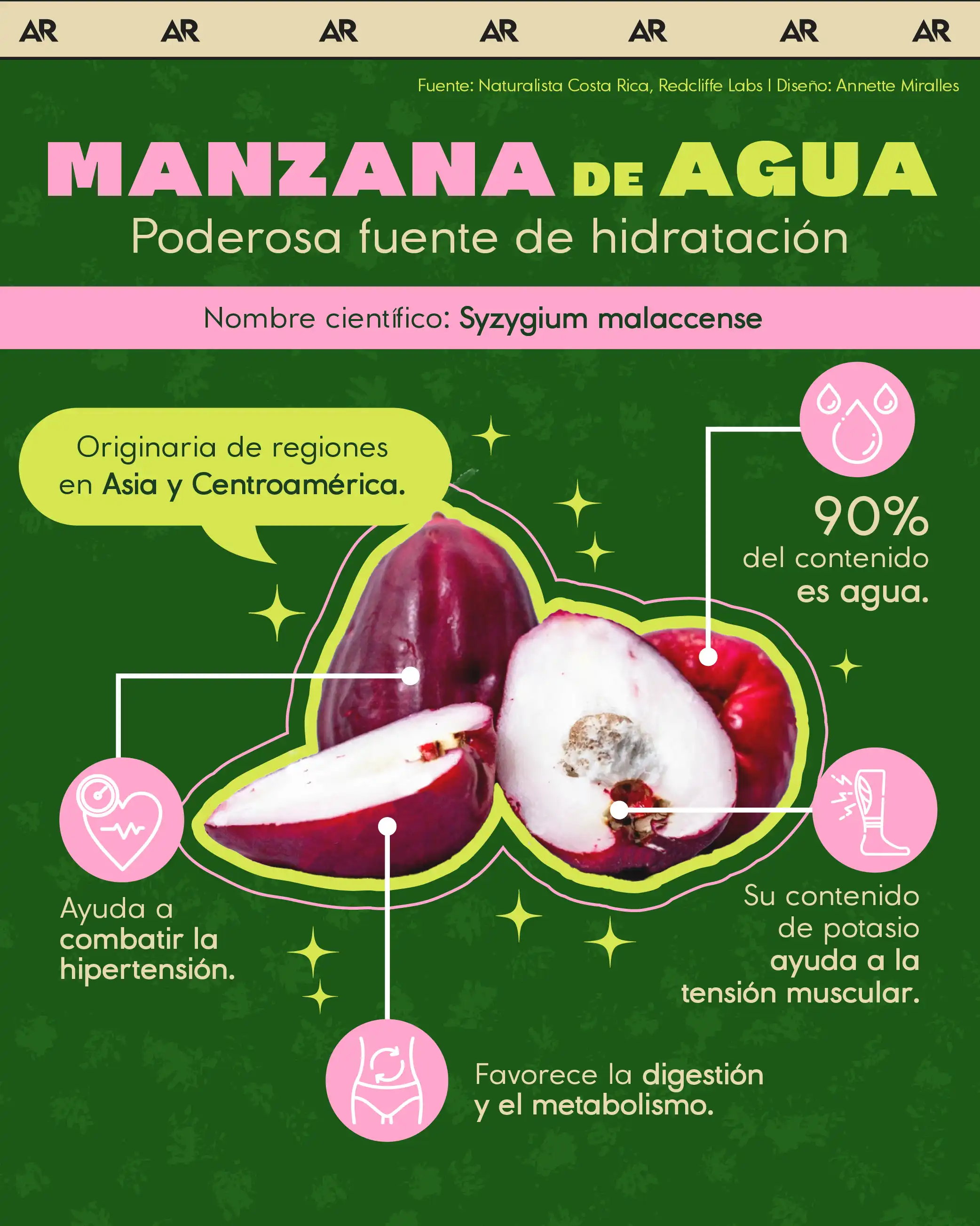 manzana de agua, salud, propiedades, noticias, costa rica 