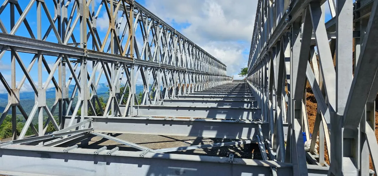 041125_Puente_Bailey_Cambronero_interna