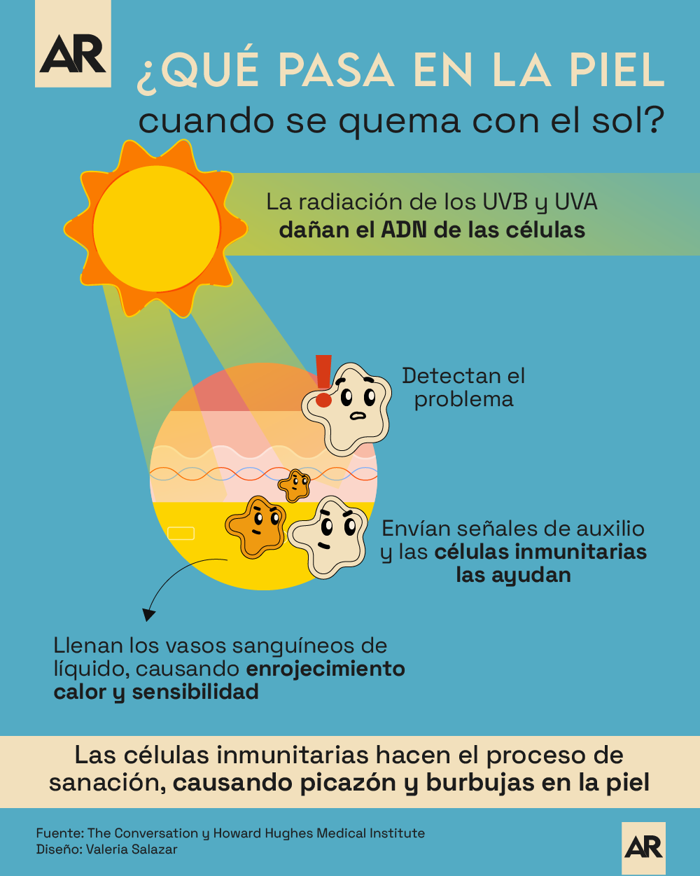 Sol, Quemadura, Piel, Calor, Rayos UVB