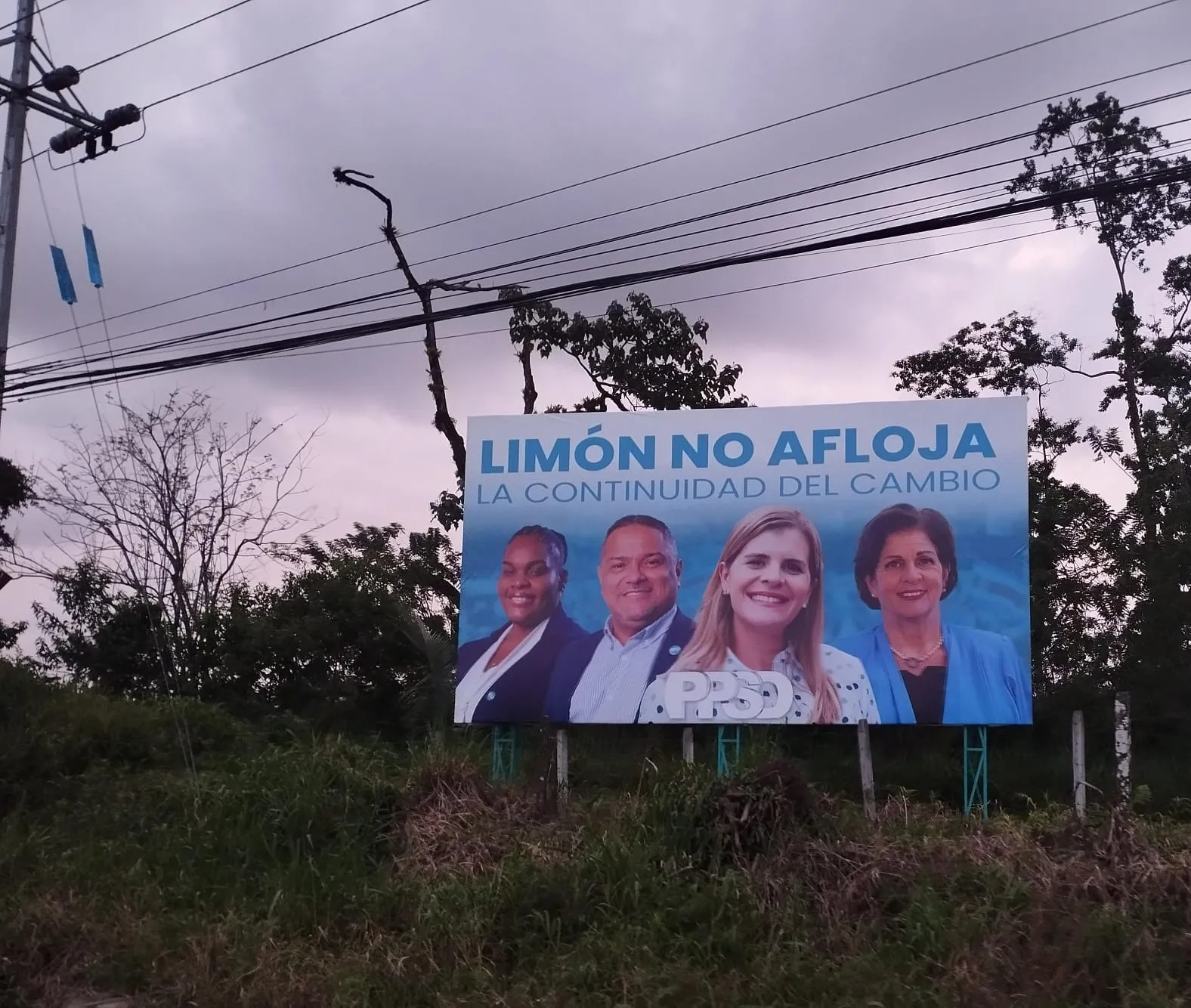 050126_Valla_Publicitaria_Pilar_Cisneros_