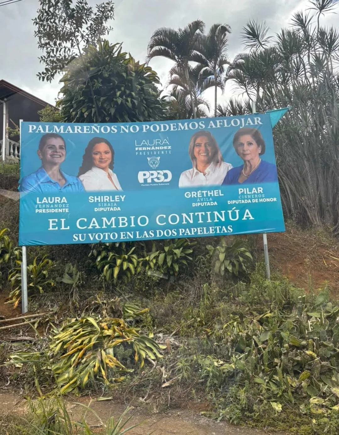 050126_Valla_Publicitaria_Pilar_Cisneros_interna