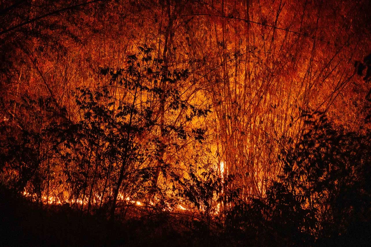 Incendio forestal en Tailandia.