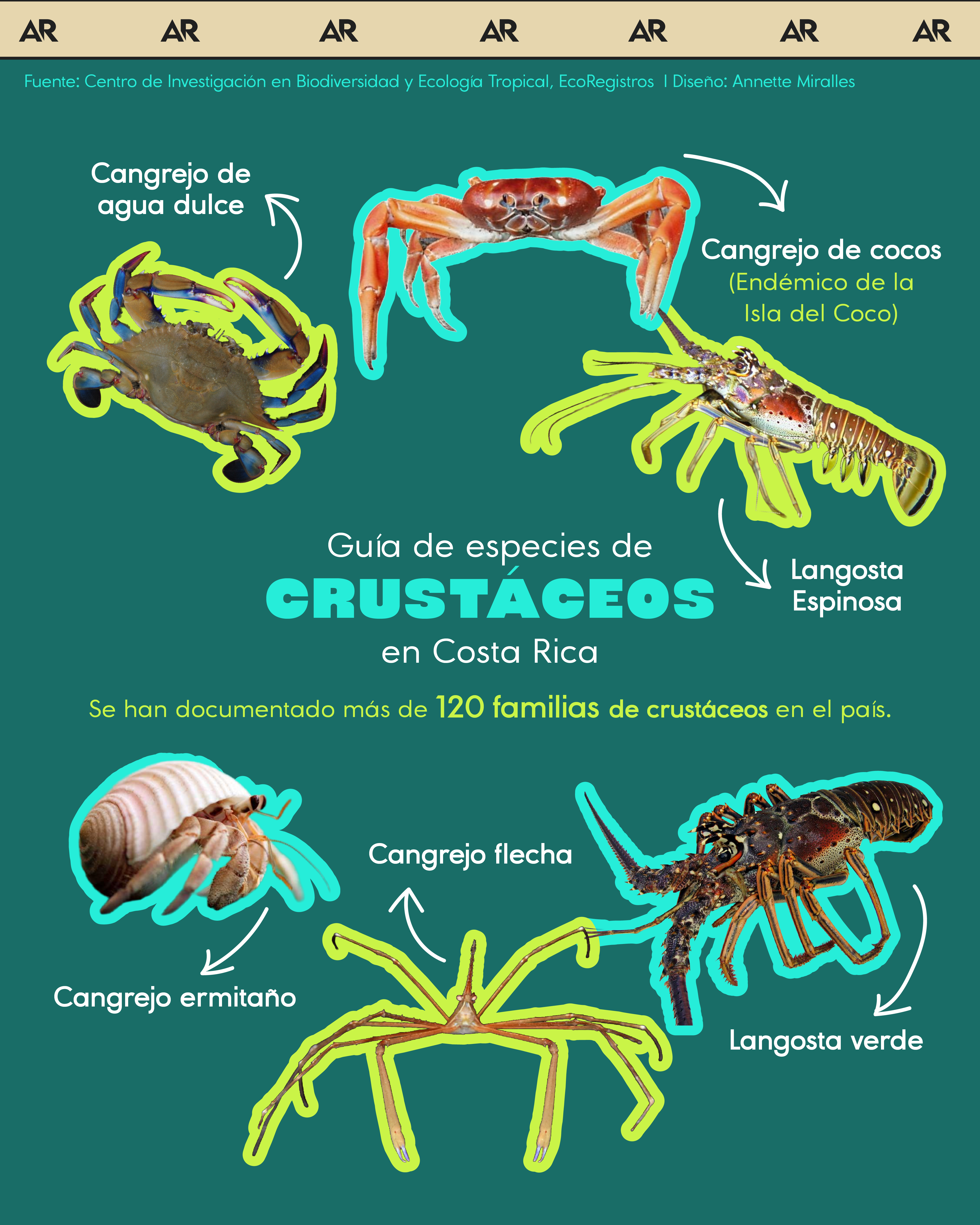 Guía de especies de crustáceos en Costa Rica