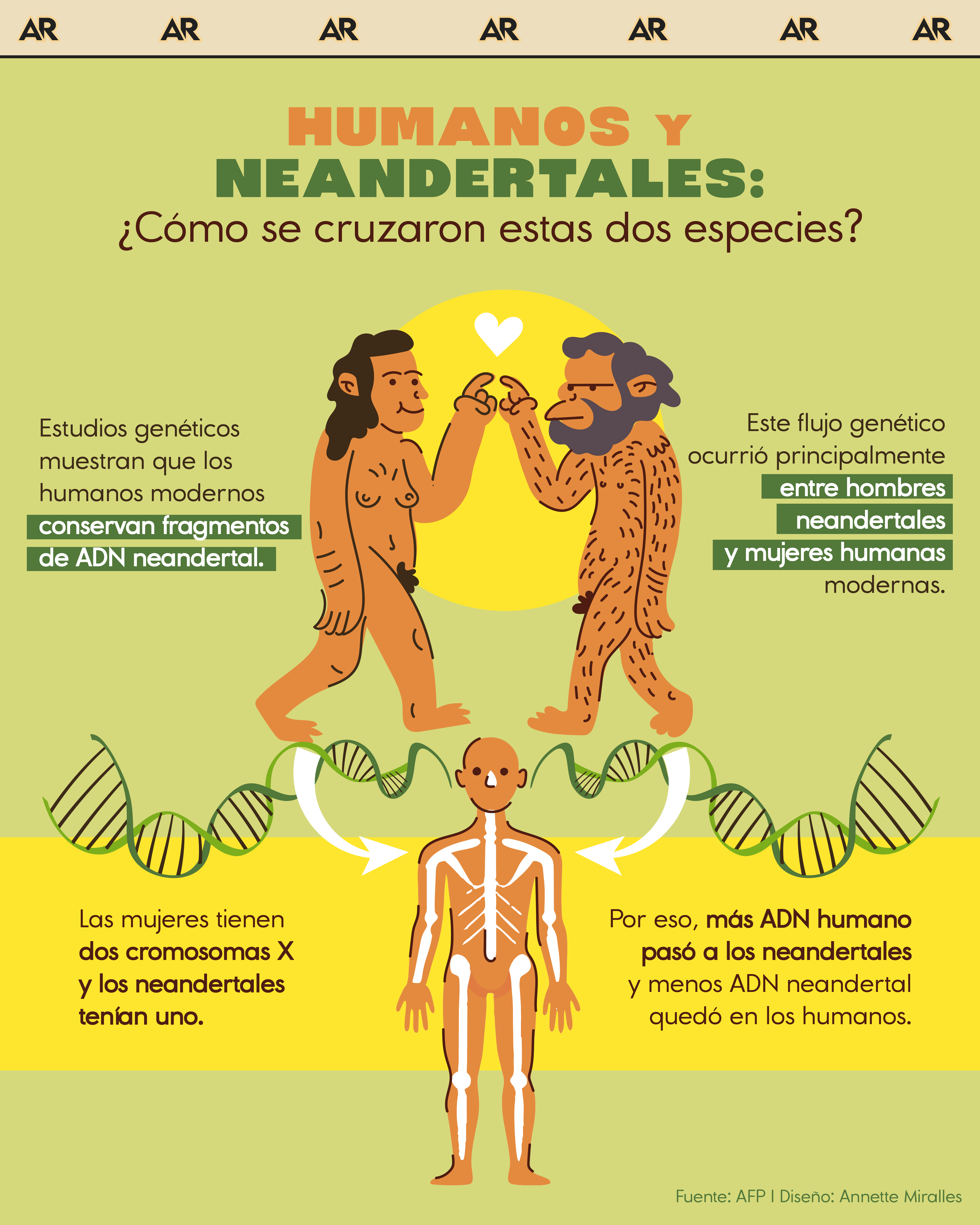 Humanos y neandertales: ¿Cómo se cruzaron estas dos especies?