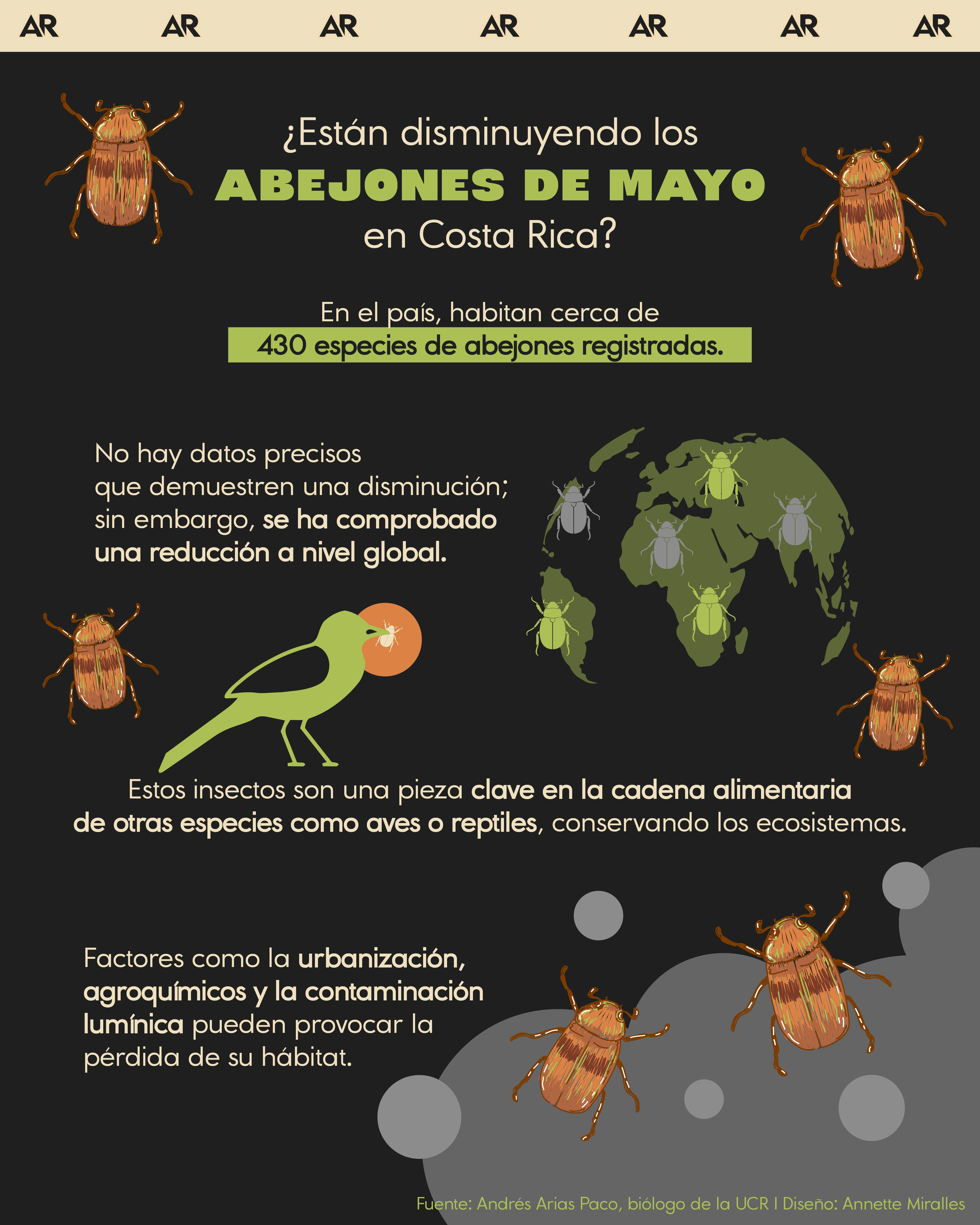 ¿Están disminuyendo los abejones de mayo en Costa Rica?