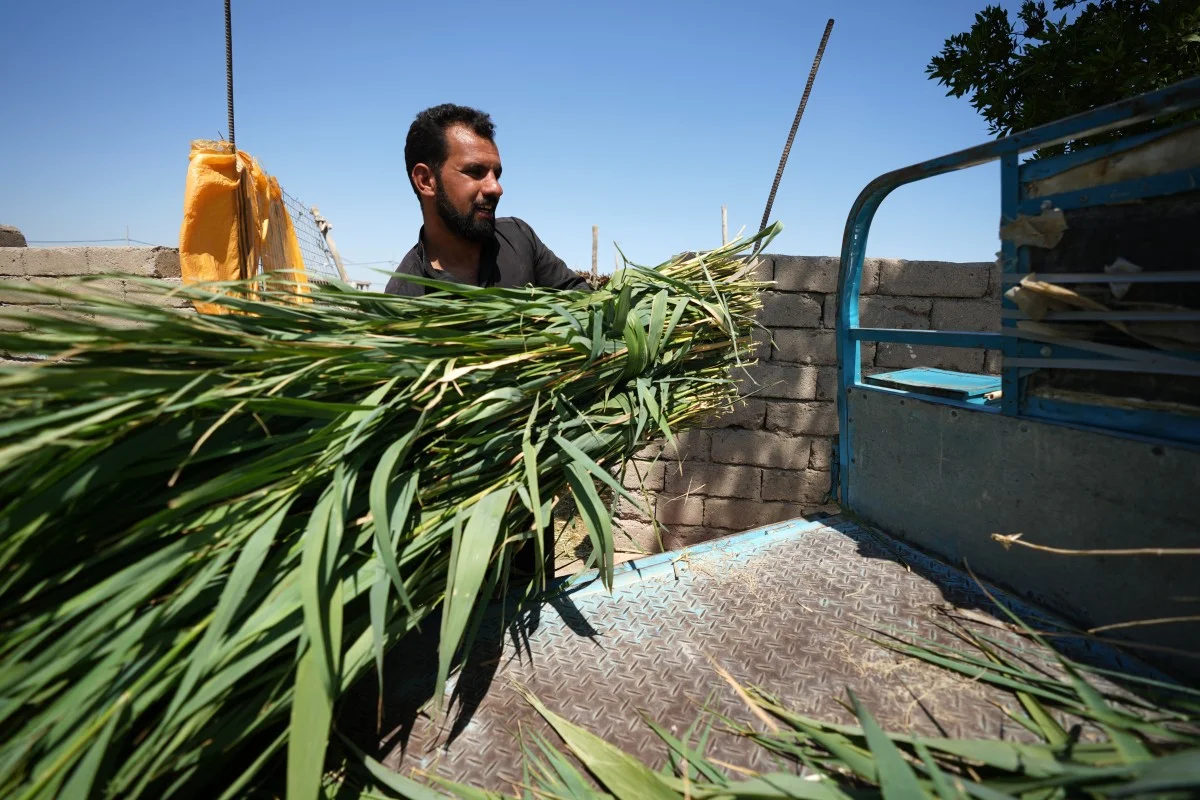 El humedal de Chibayish. 