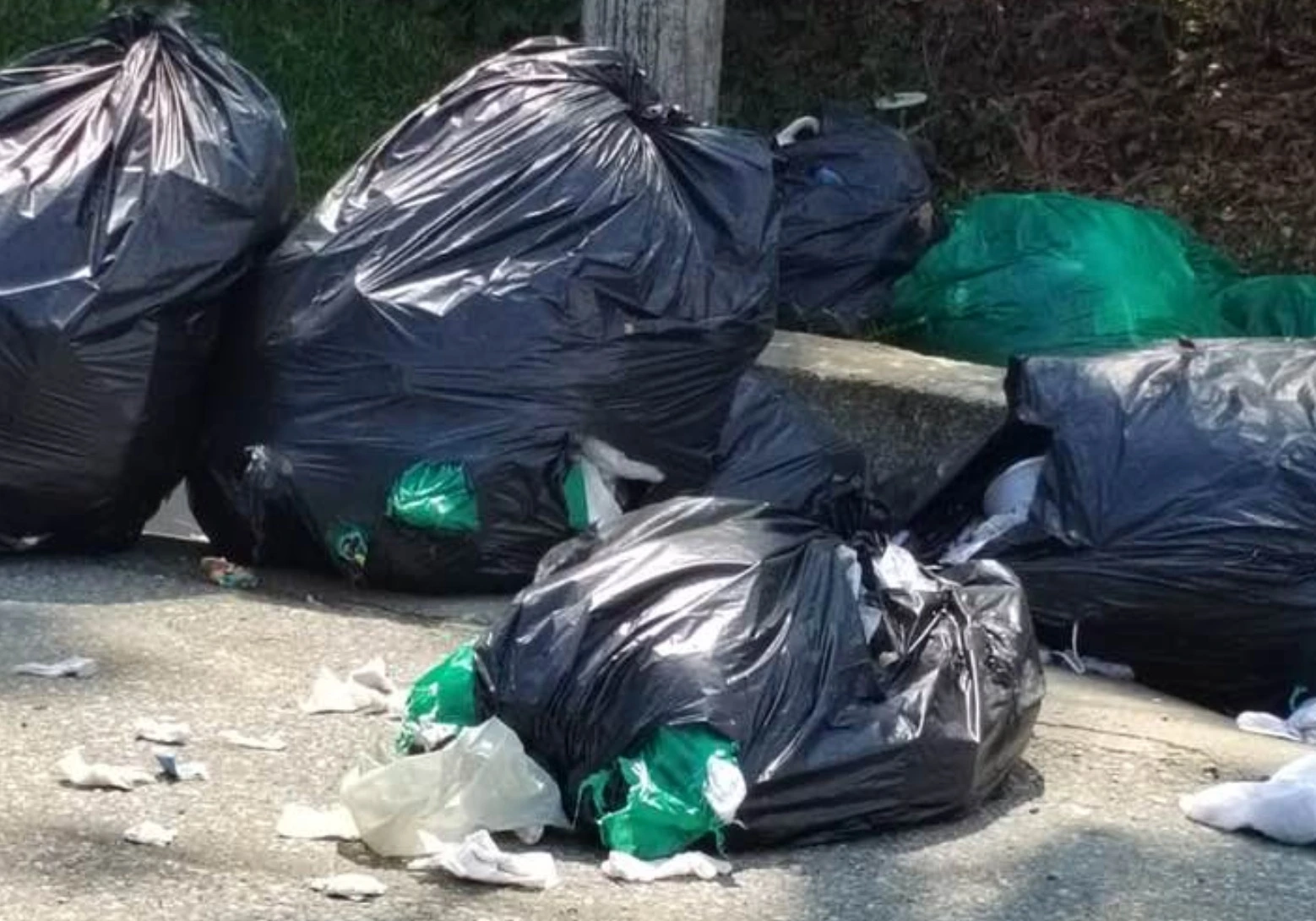 Puerto Jiménez, Basura, Salud, CGR