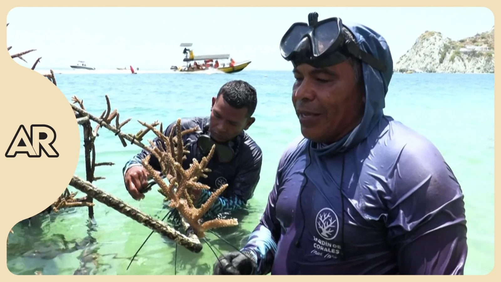 De pescadores a jardineros submarinos: la restauración de corales en Colombia