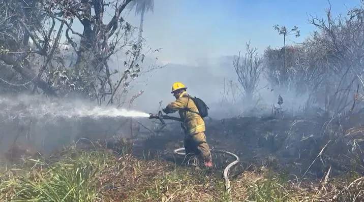 090226_Incendio_Charral_La_Garita_interna