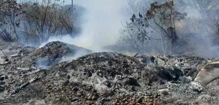 090226_Incendio_Charral_La_Garita_interna