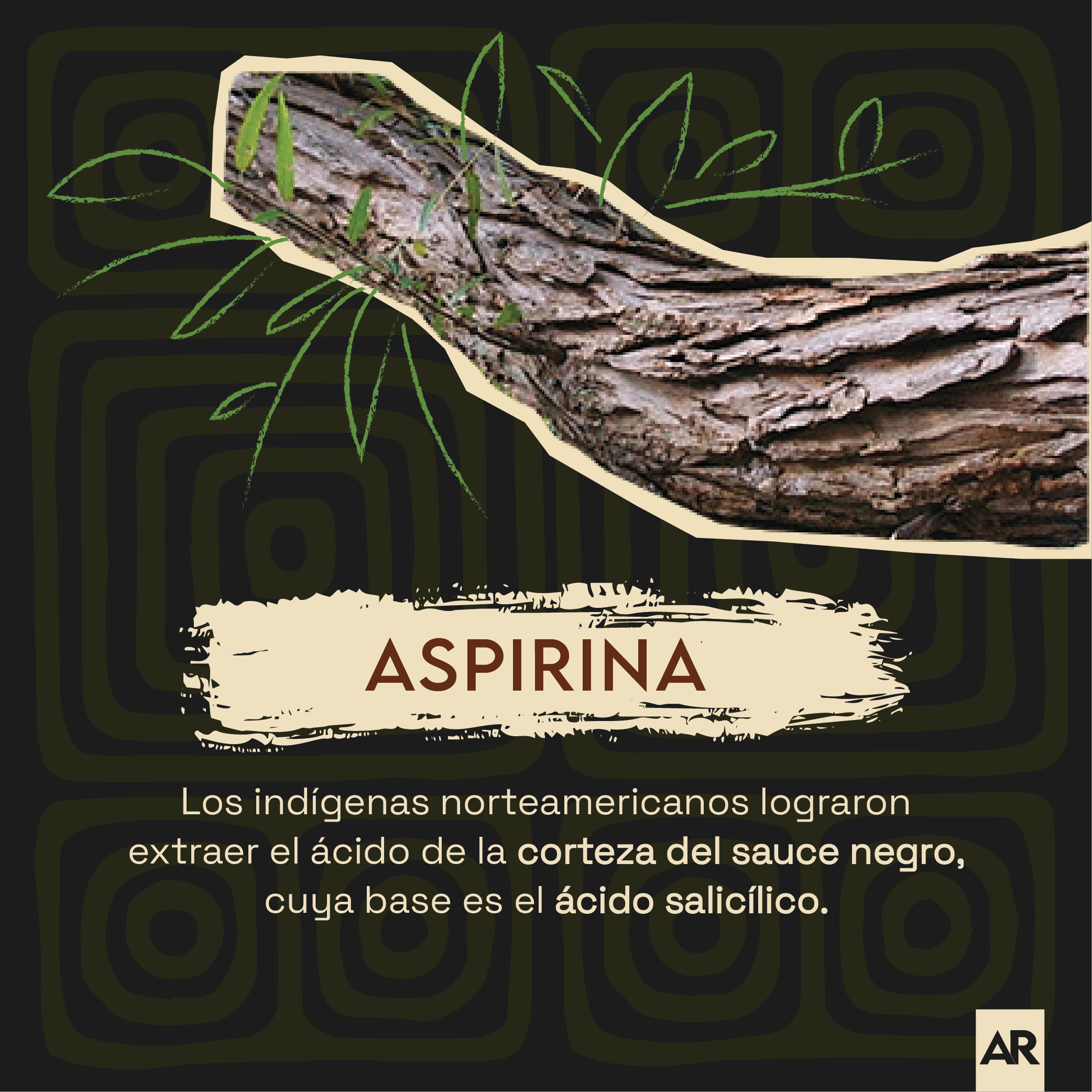 6 cosas que los pueblos indígenas descubrieron antes que la ciencia