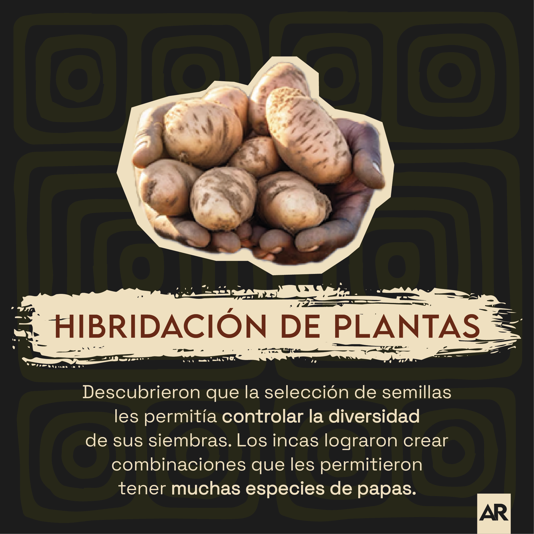 6 cosas que los pueblos indígenas descubrieron antes que la ciencia