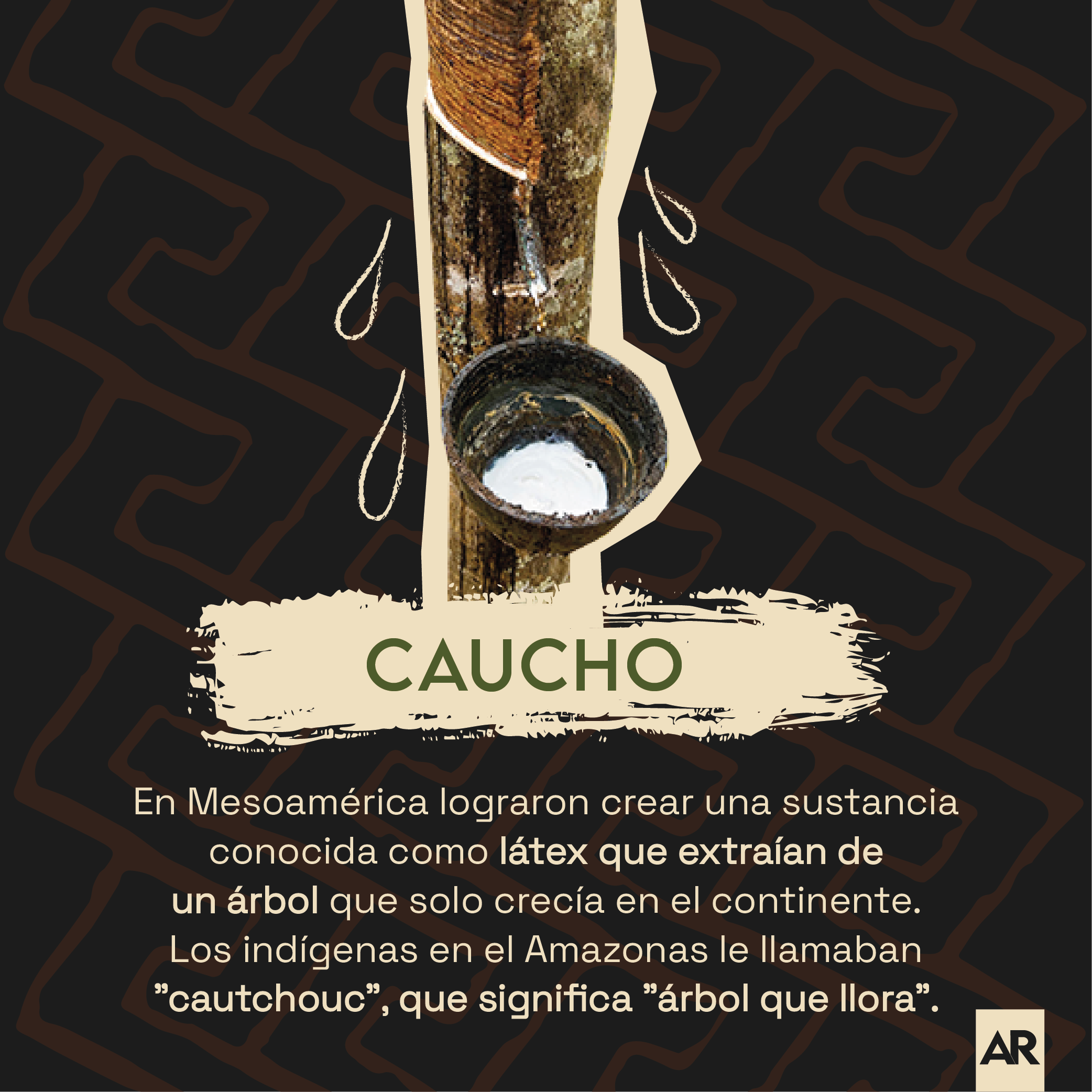 6 cosas que los pueblos indígenas descubrieron antes que la ciencia