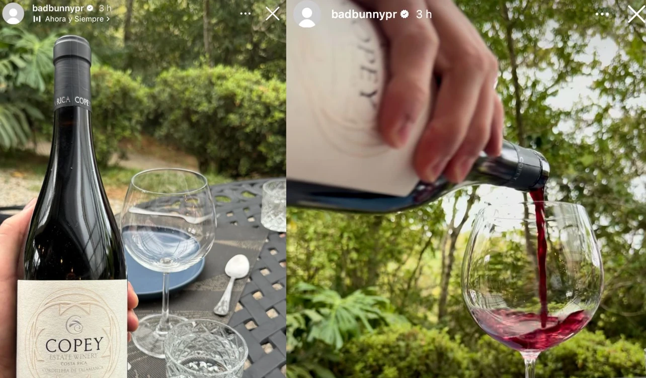 bad bunny vino