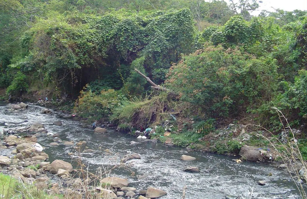 San José, Medio Ambiente, Municipalidad, Sala IV