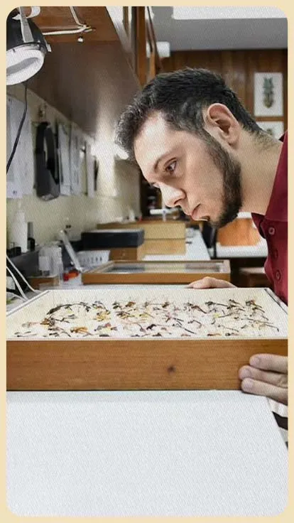 10102025_Insectos_especies