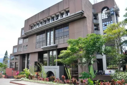 Solvencia, económica, TSE, investigaciones, noticias, Costa Rica