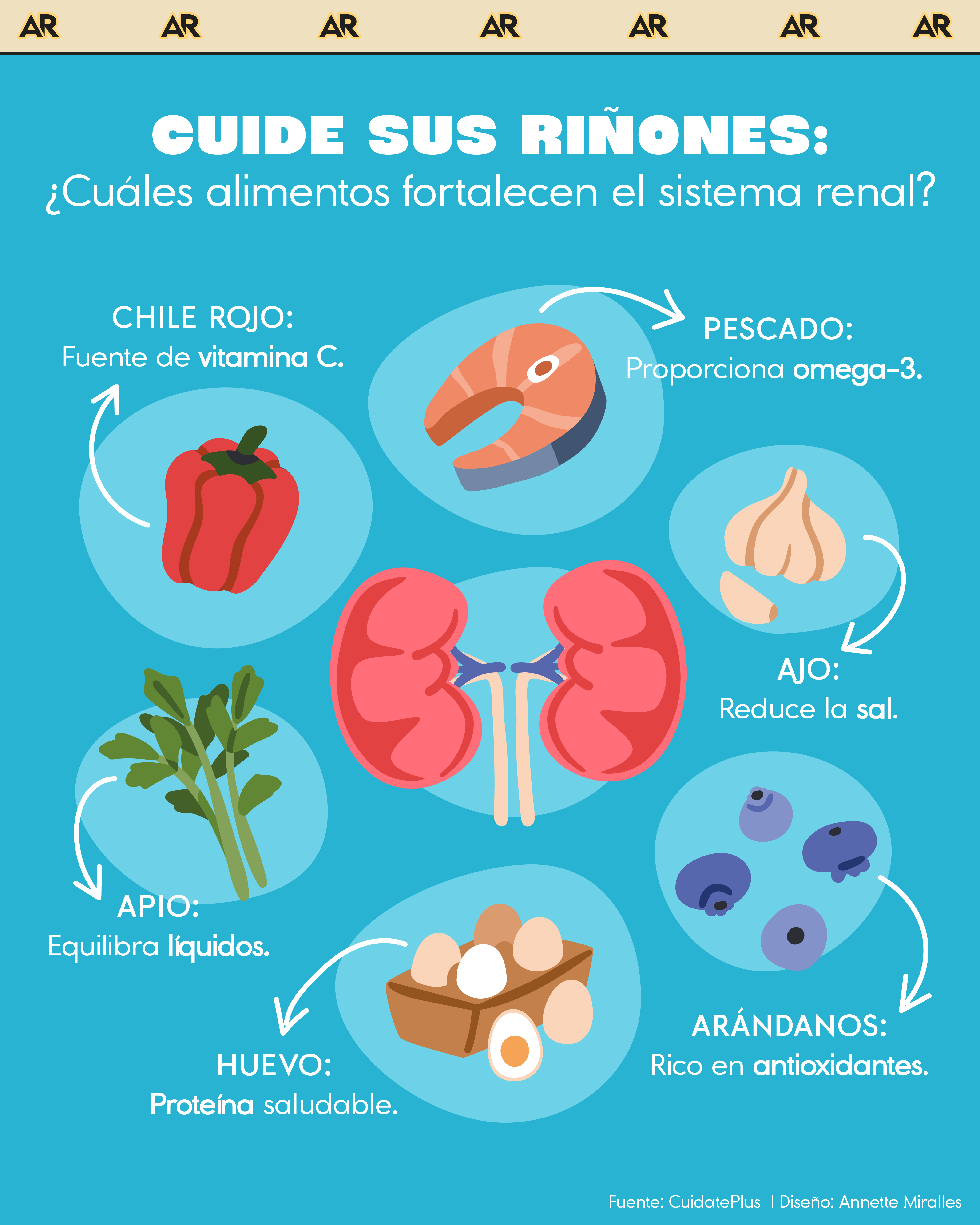 Cuide sus riñones: ¿Cuáles alimentos fortalecen el sistema renal?