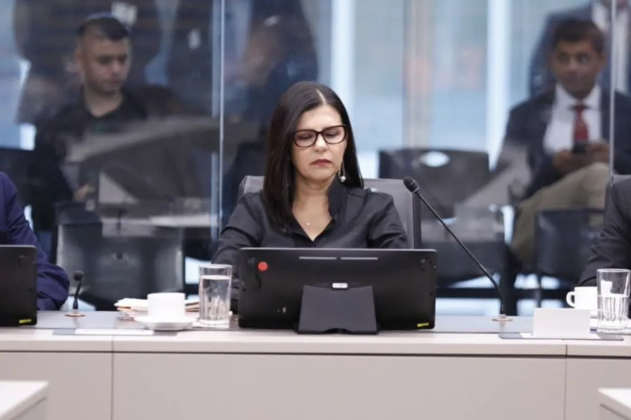 presidenta, INS, director jurídico, Bomberos