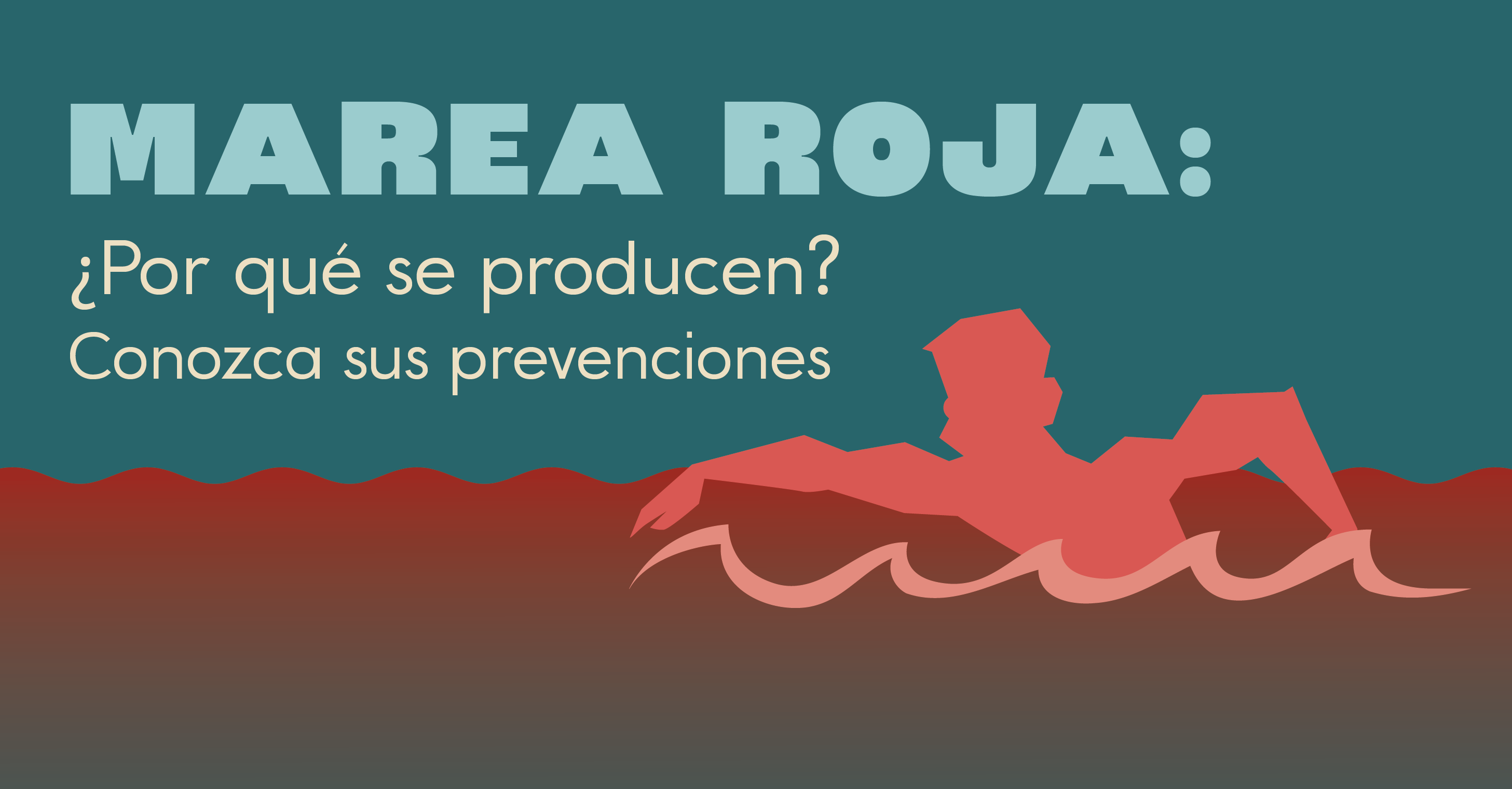 Marea roja: ¿Por qué se producen? Conozca sus prevenciones