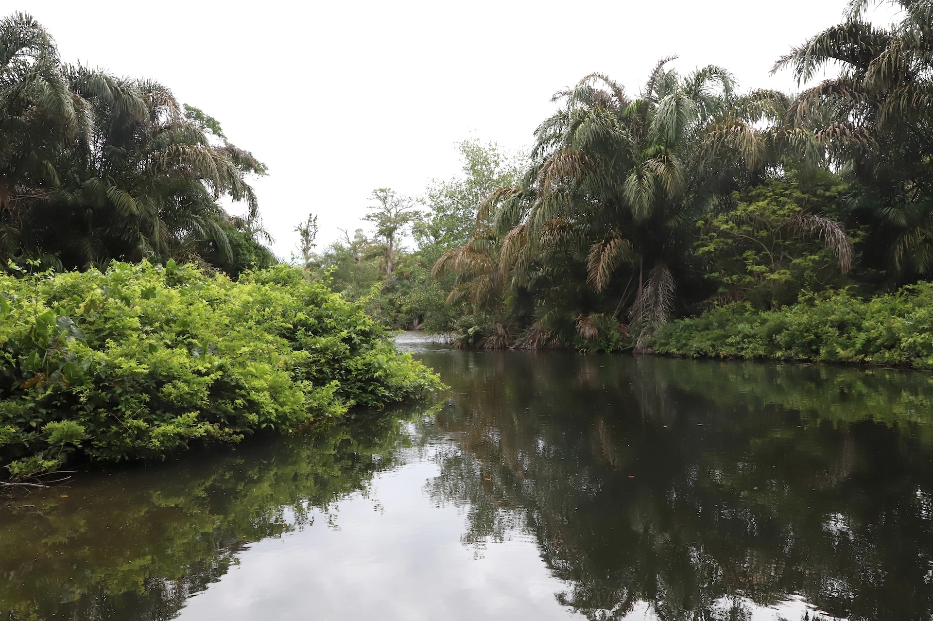 Contaminación, Agroquímicos, Agua, Medio Ambiente