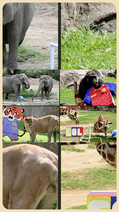 Animales de zoológico de México.