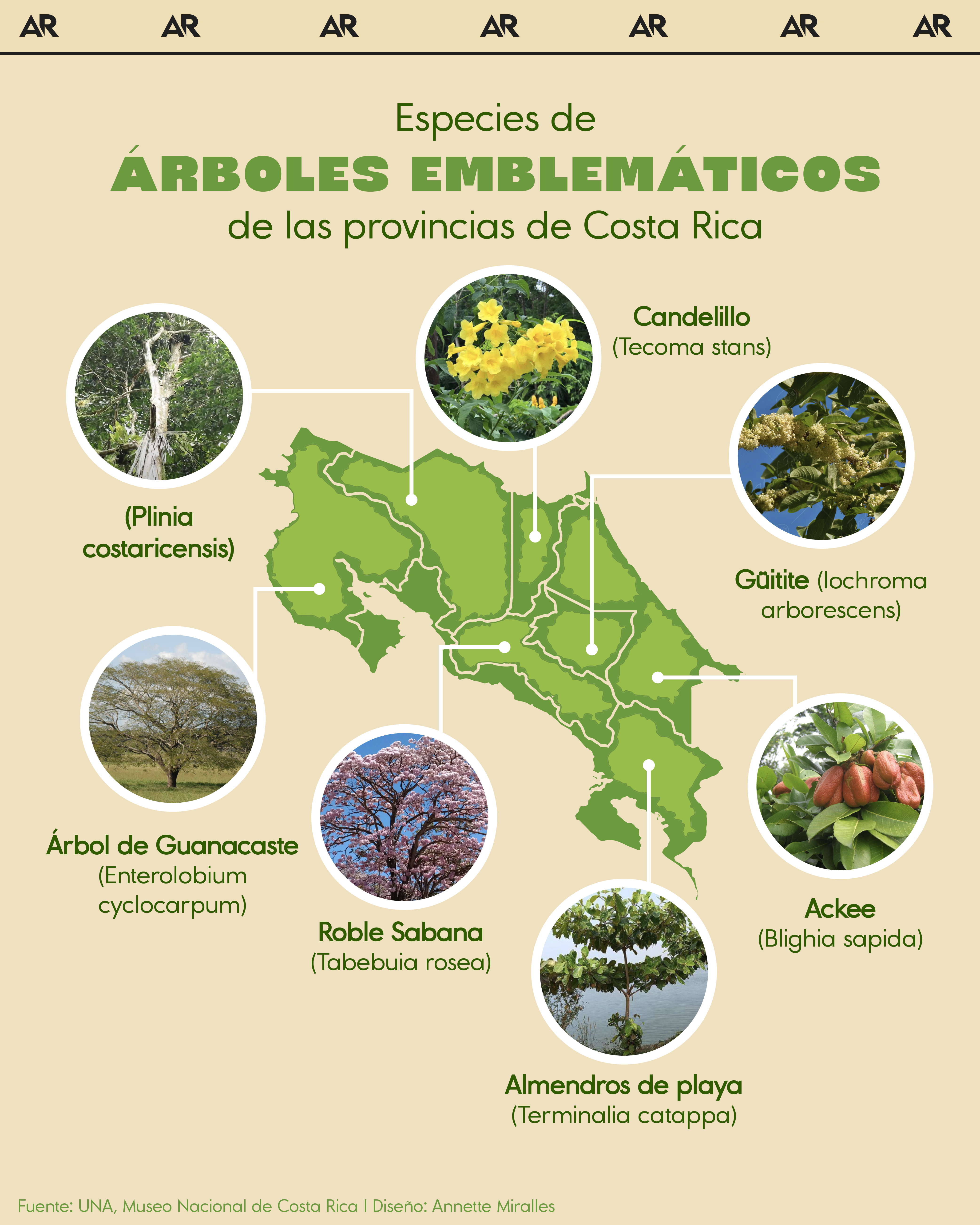 Especies de árboles emblemáticos de las provincias de Costa Rica