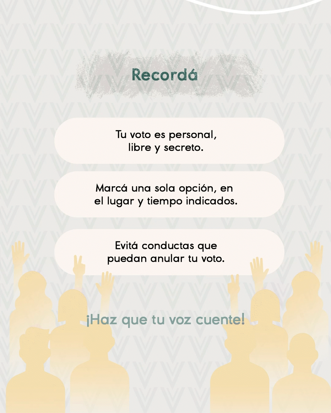 13012025_Votos_Nulo_Blanco_Card 01.gif