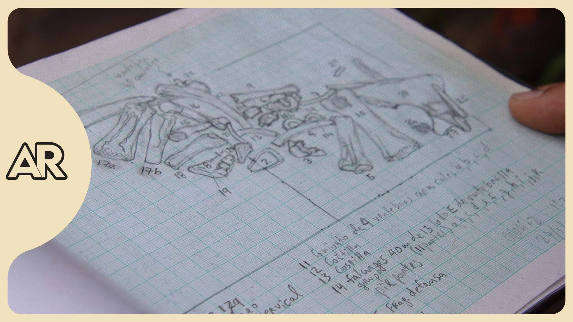 Hallazgo de megafauna en Cartago impulsa la investigación paleontológica en Costa Rica