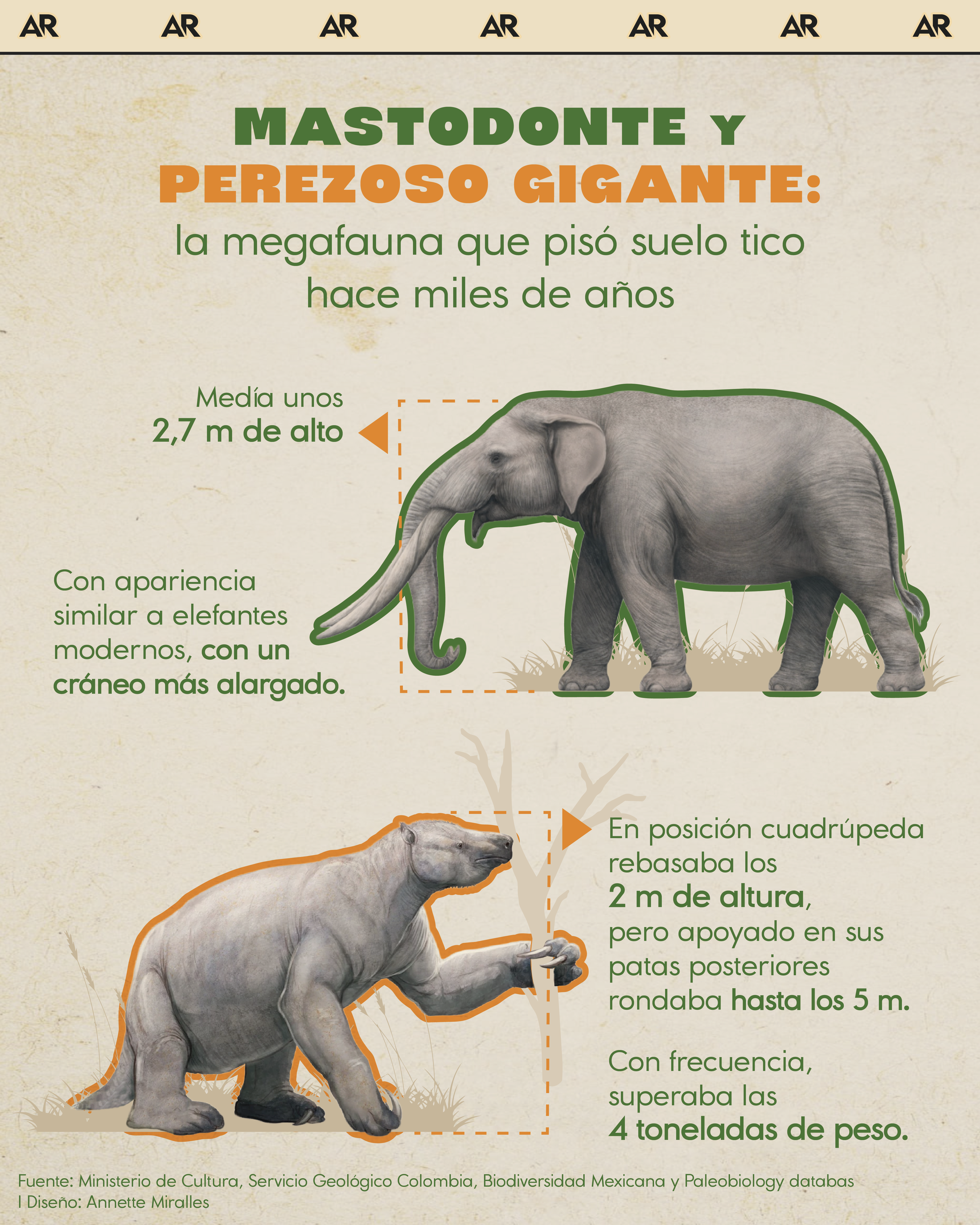 Mastodonte y perezoso gigante: la megafauna que pisó suelo tico hace miles de años