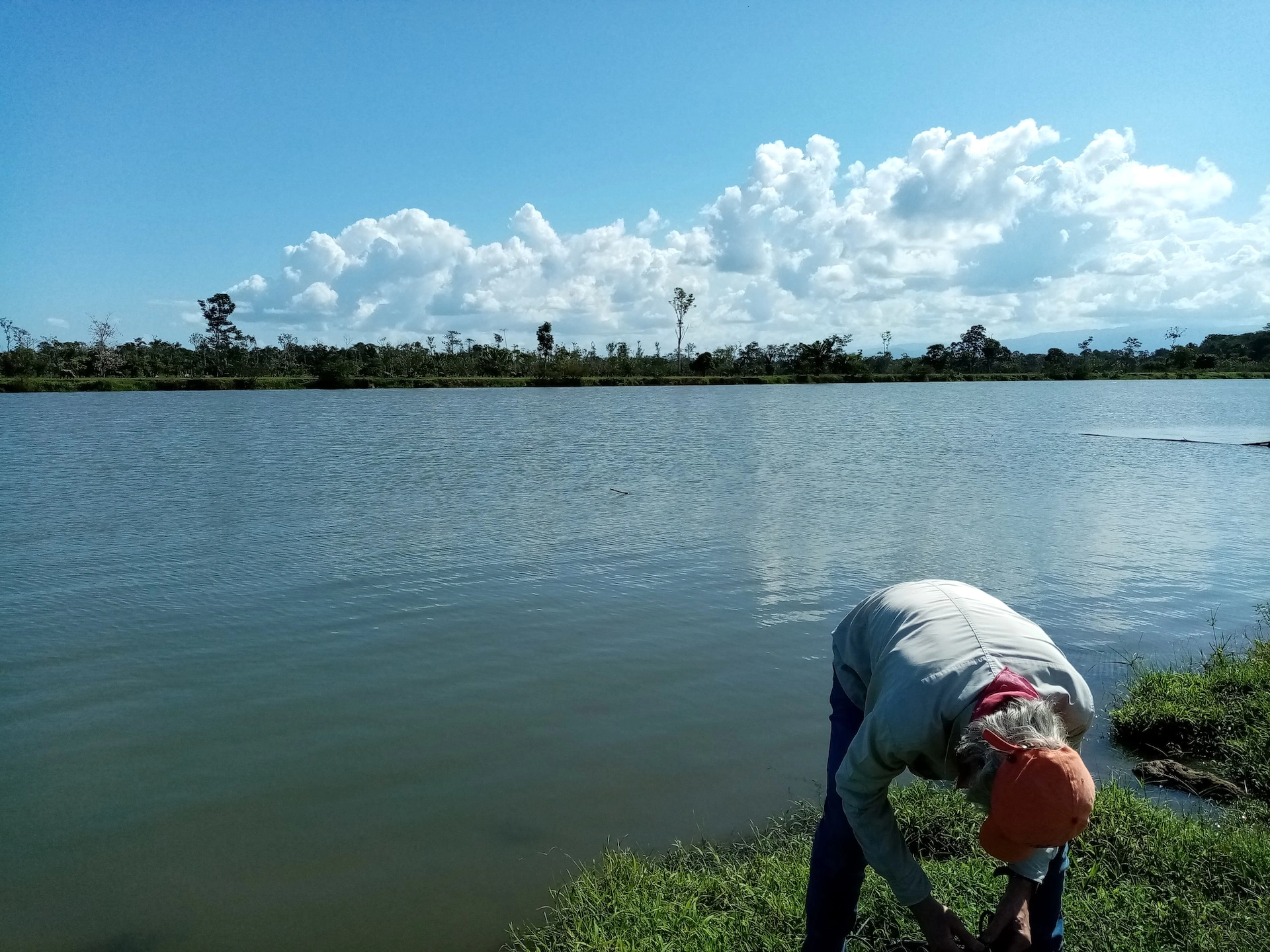 Plaguicidas, contaminación, ONU, Sixaola