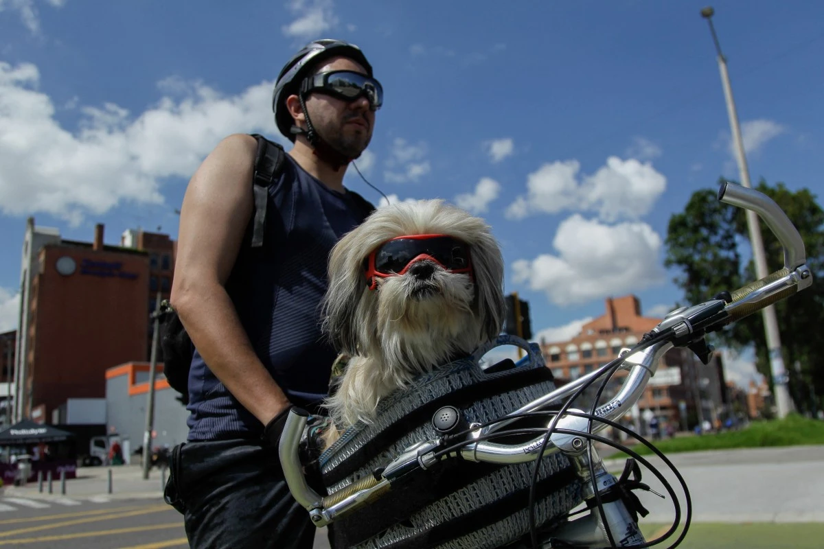 Un ciclista con su perro en la Ciclovía de Bogotá.