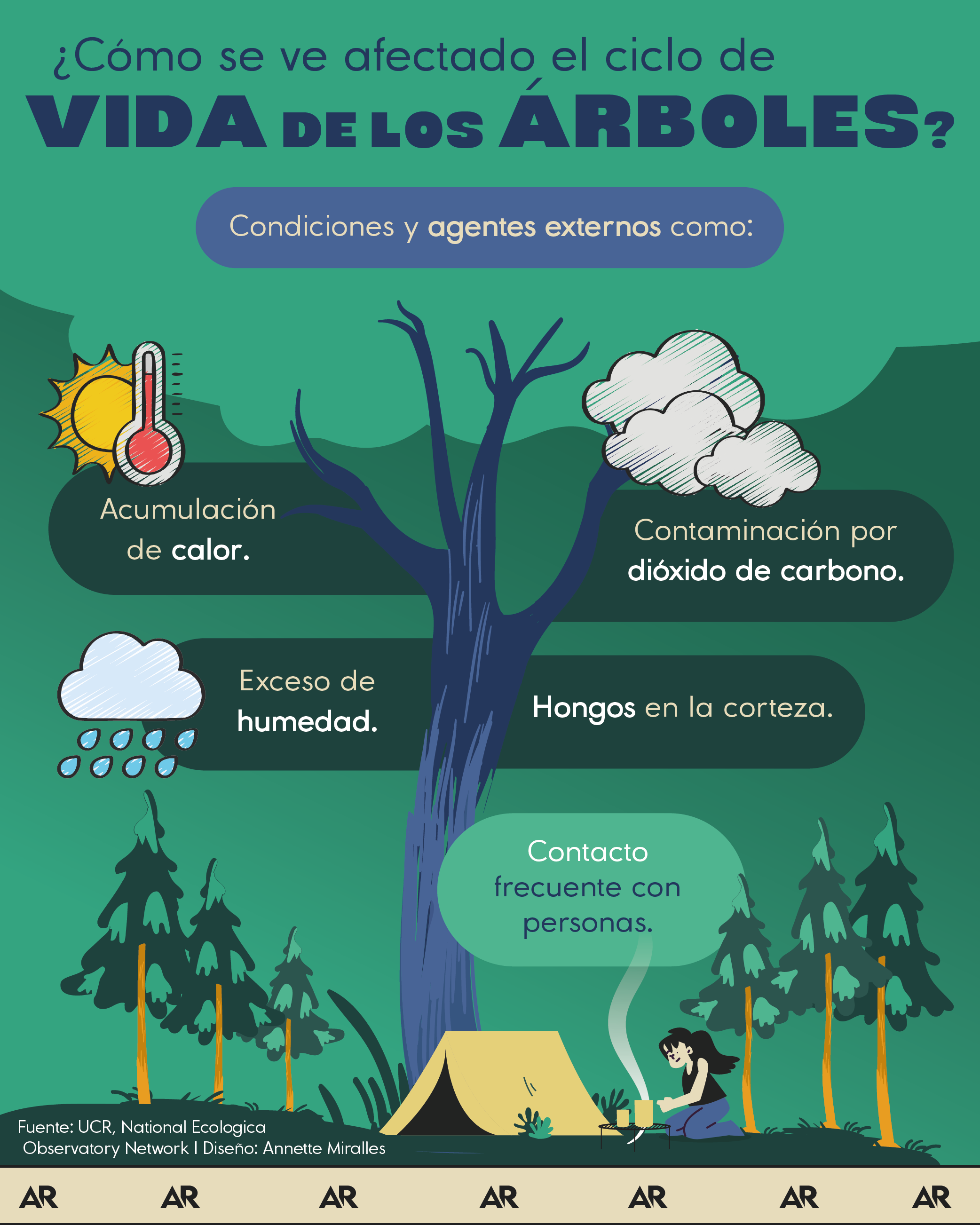 ciclo de vida, árboles, corteza, ambiente, noticias, Costa Rica  