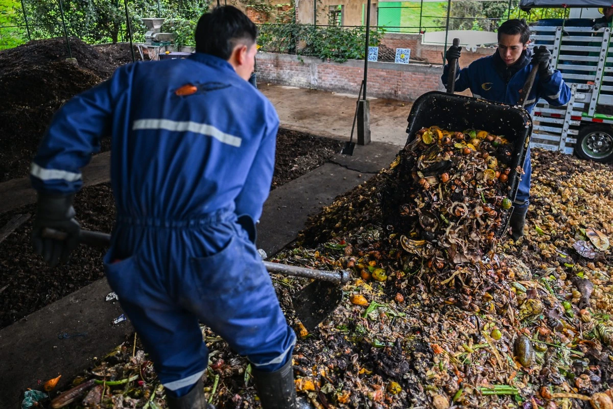 Trabajadores recolectan desechos orgánicos en la finca Tierra Viva, en Boyacá, Colombia.