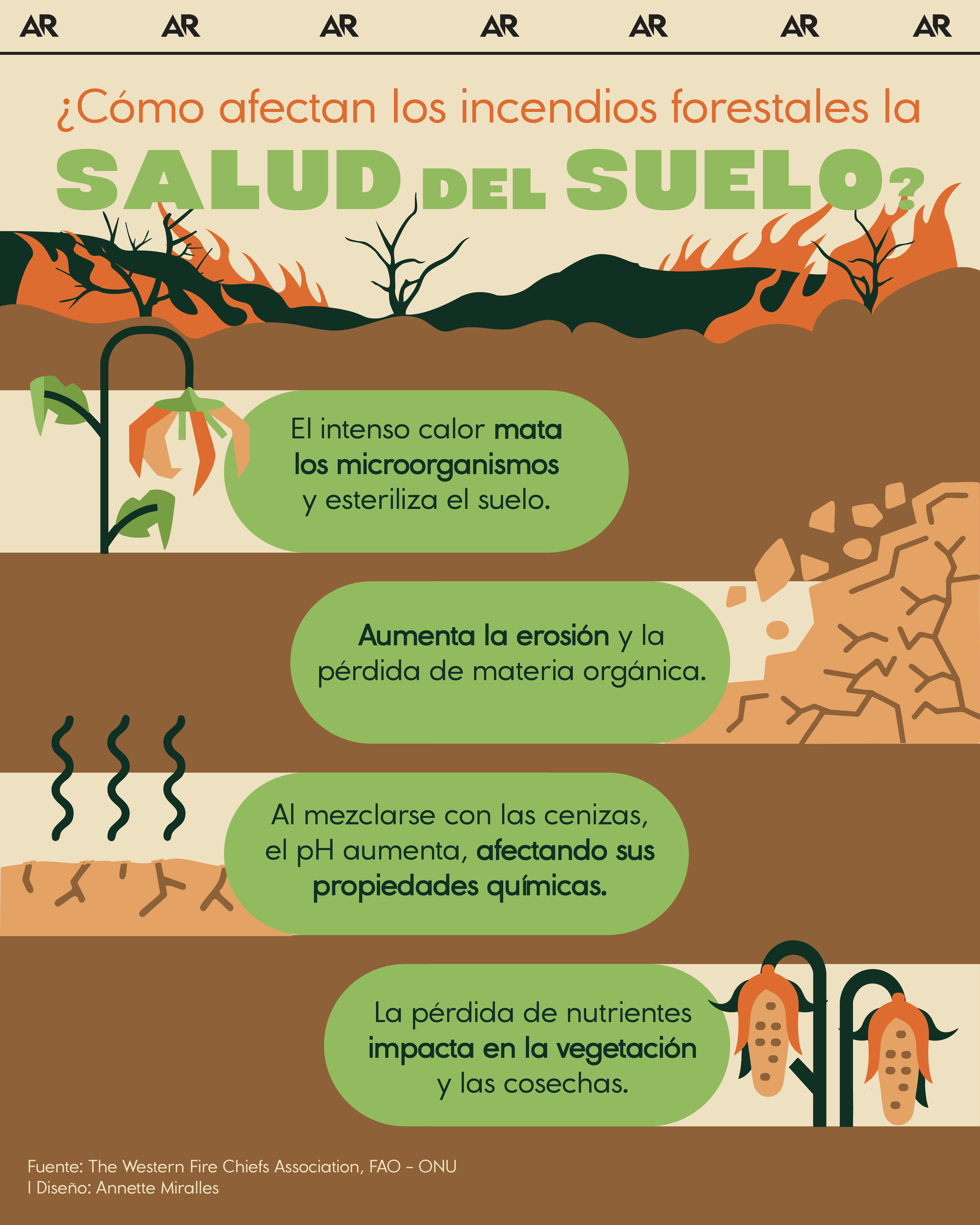 incendios forestales, suelo, ambiente, noticias, Costa Rica 
