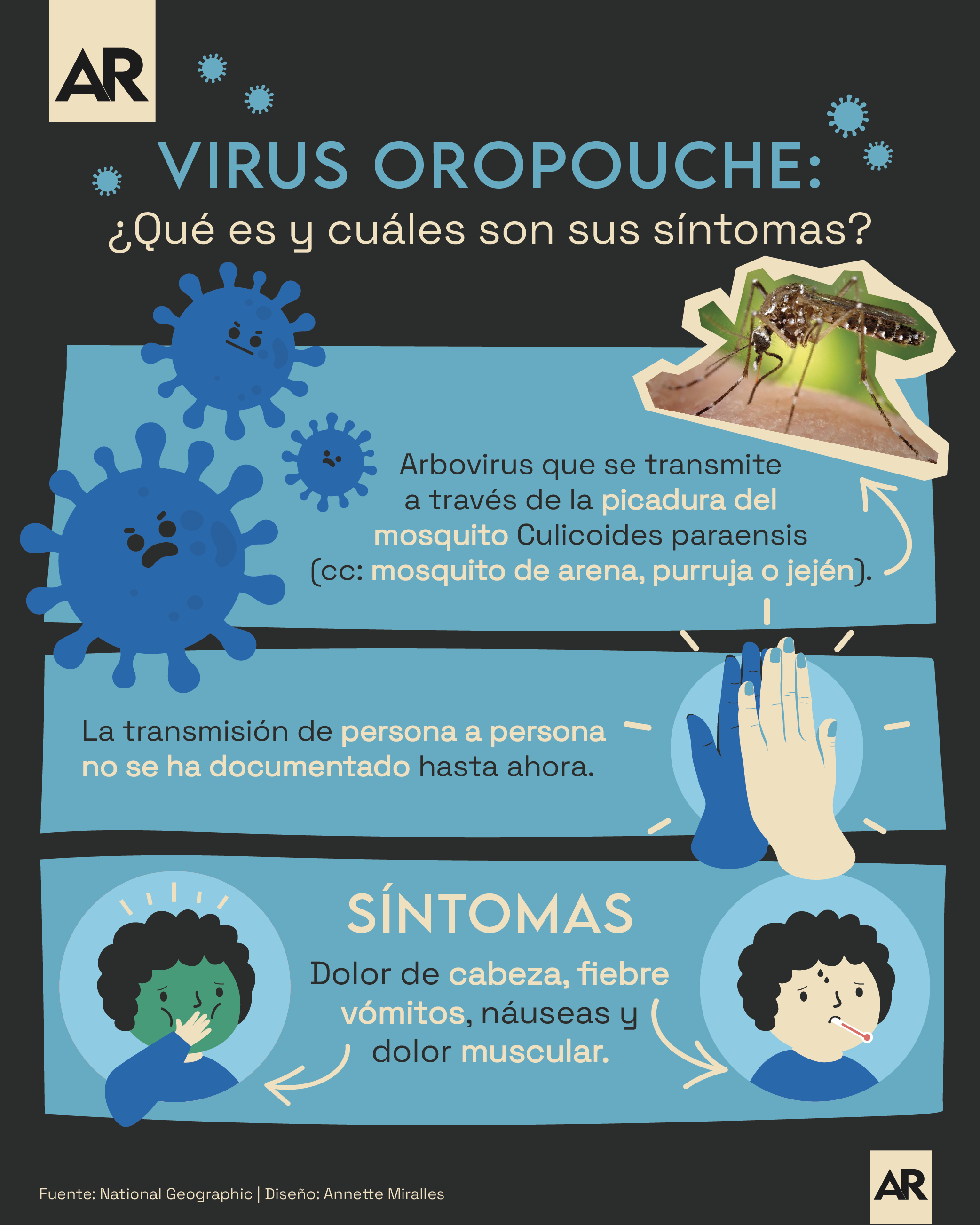 Virus, Oropouche, síntomas, salud, noticias, Costa Rica