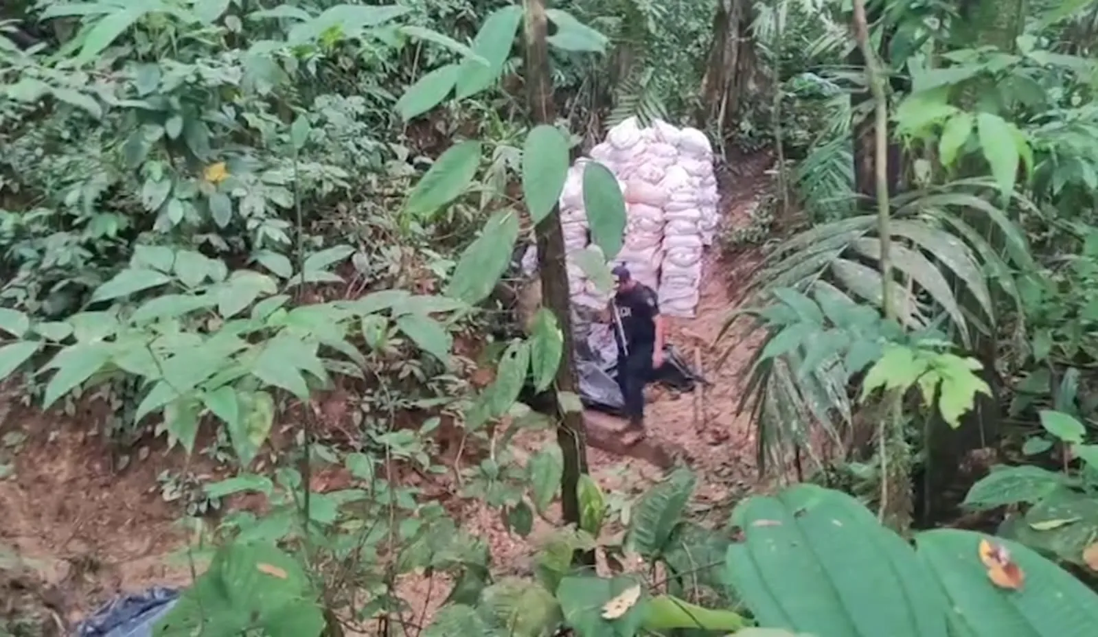 151025_Minería_Ilegal_Crucitas_Interna