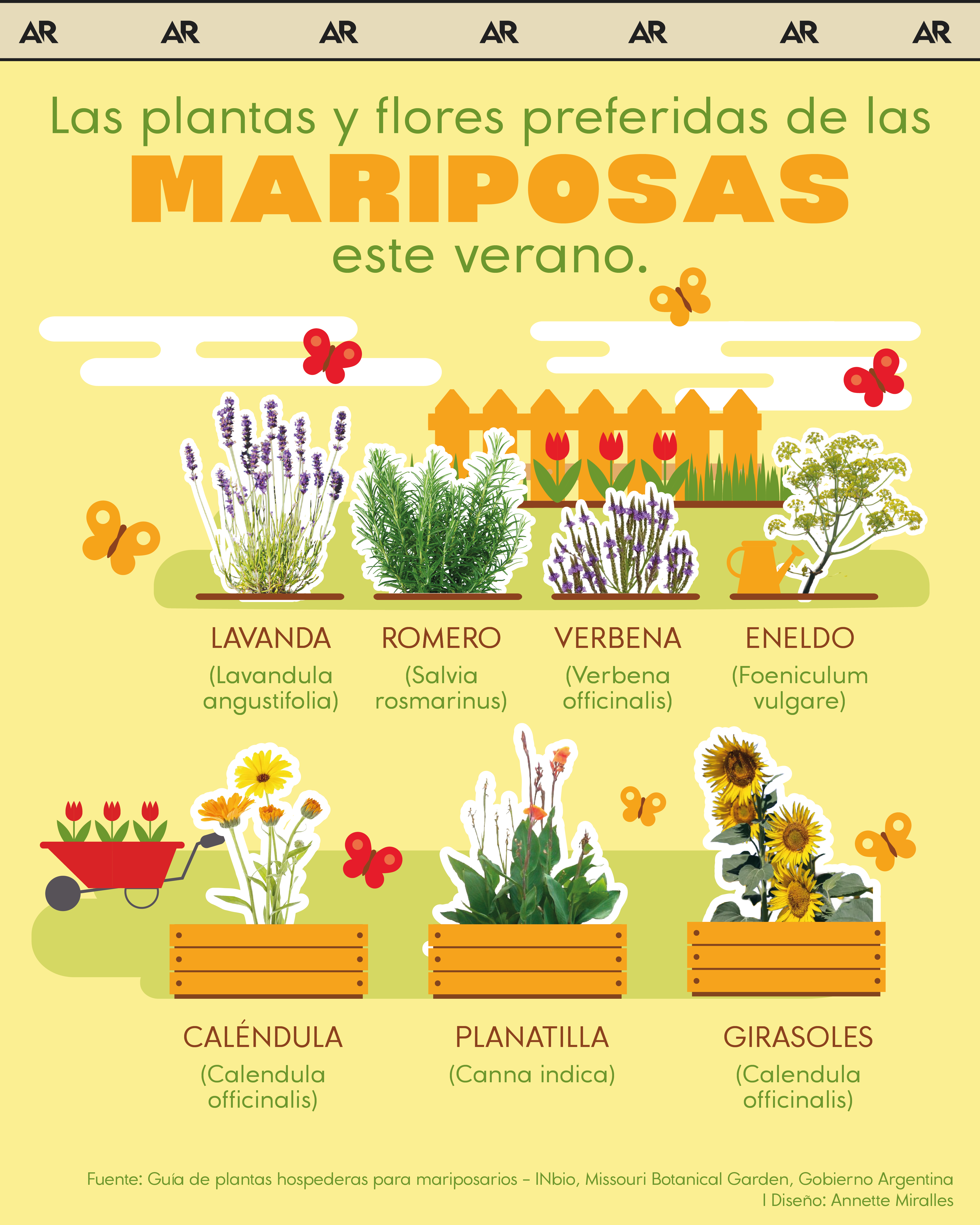 plantas, flores, mariposas, ambiente, noticias, Costa Rica 