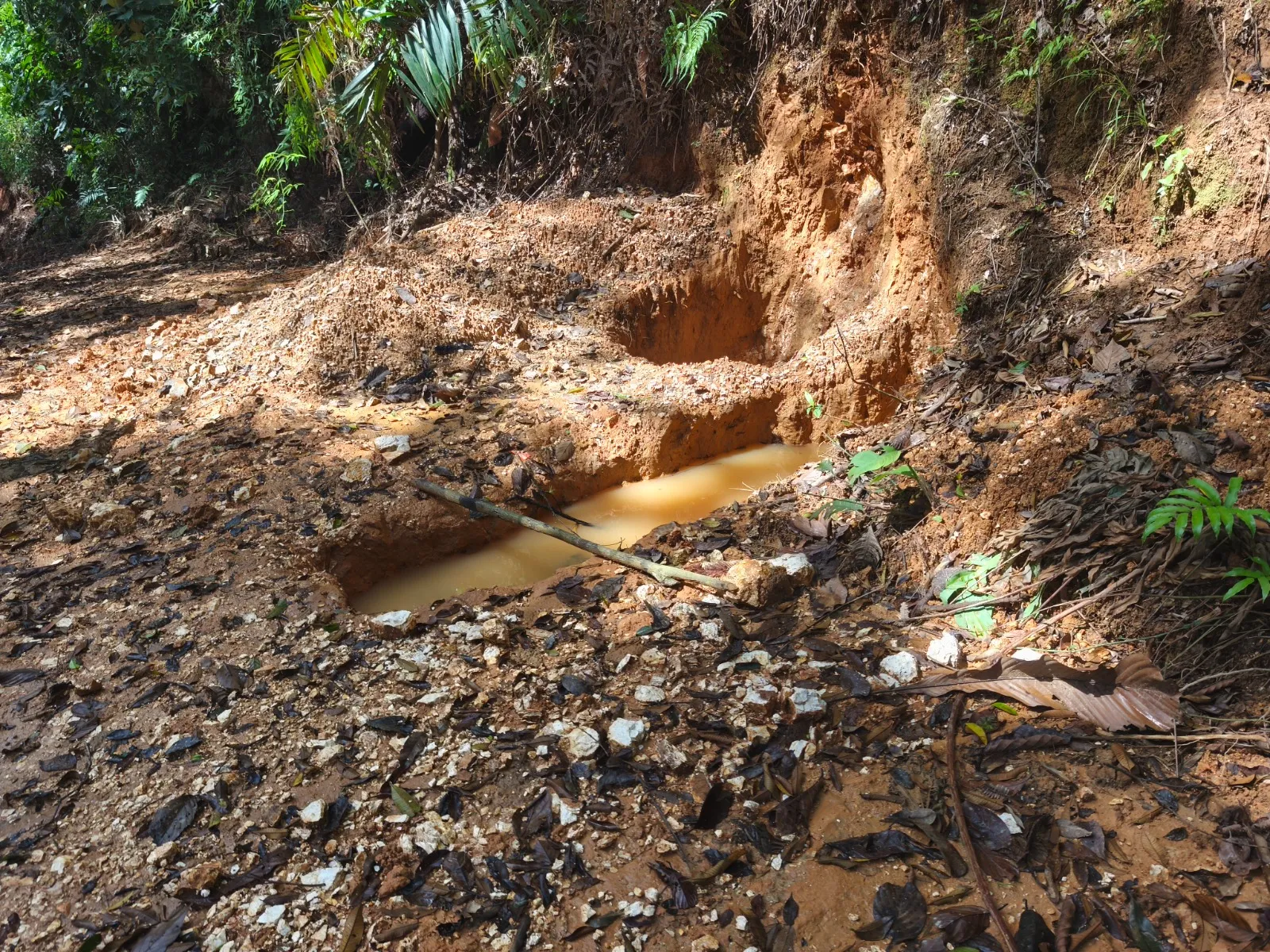 160326_Operativo_Cerro_Conchuditas_interna