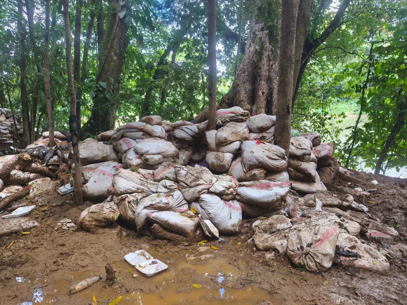 160326_Operativo_Cerro_Conchuditas_interna