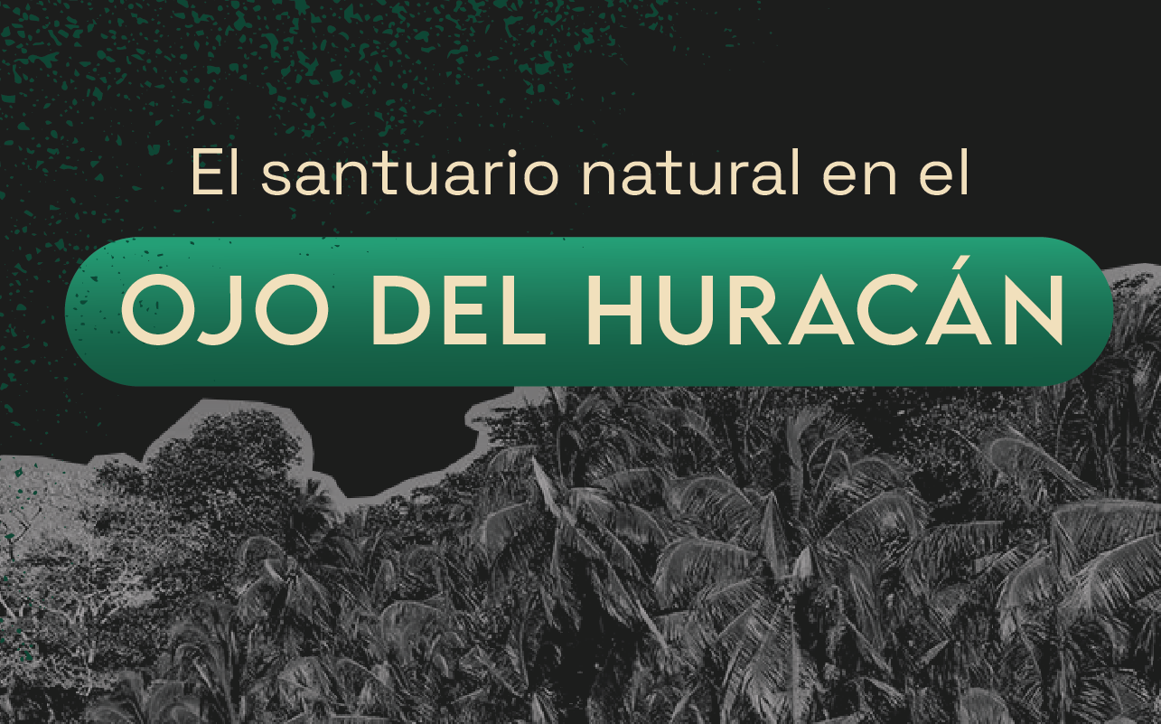 Gandoca-Manzanillo, refugio, ambiente, tala árboles, noticias, Costa Rica 